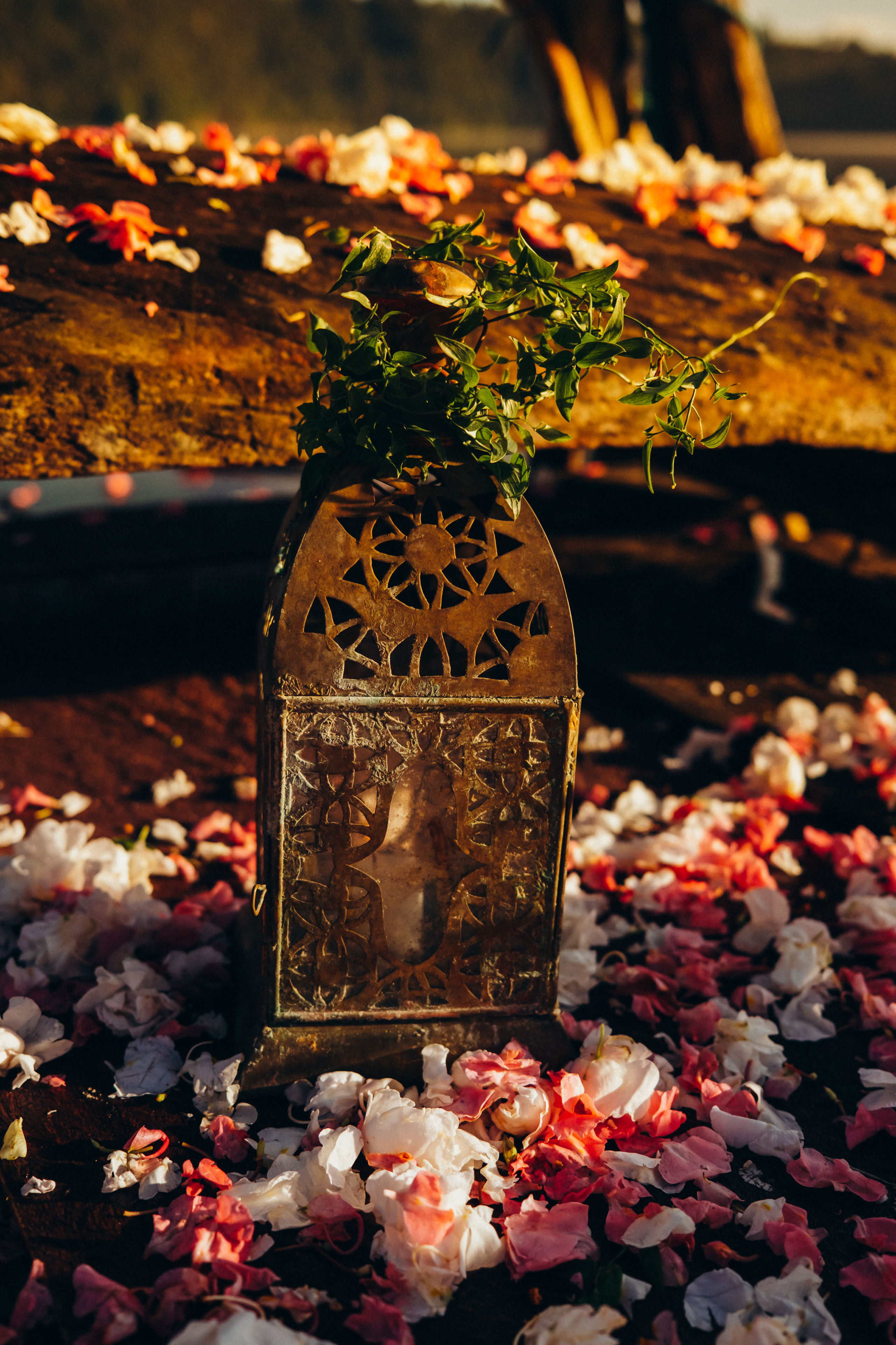 Antonio & Katherin Wedding ceremony in Bali. Фотограф Бали