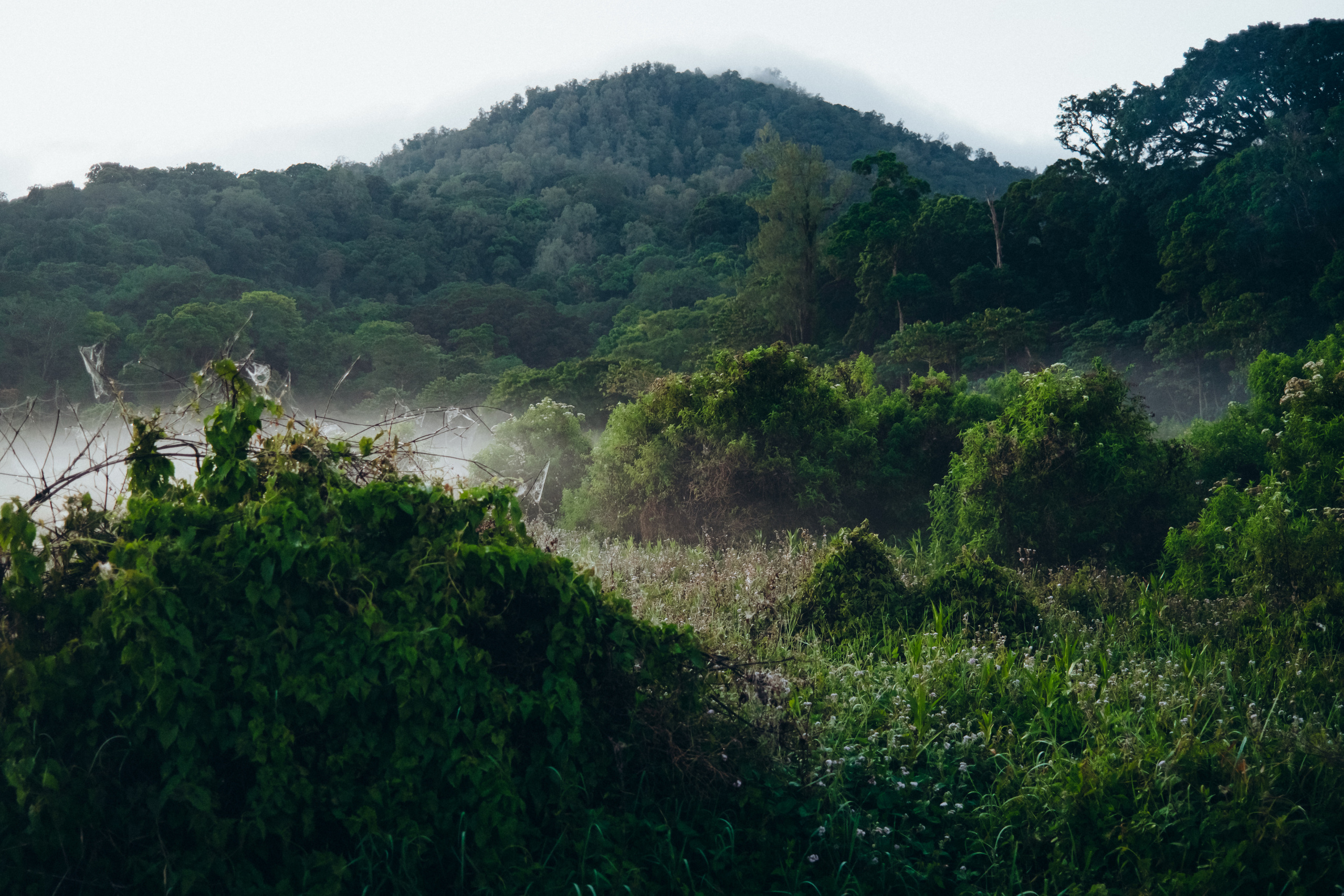 Antonio & Katherin Wedding ceremony in Bali. Фотограф Бали