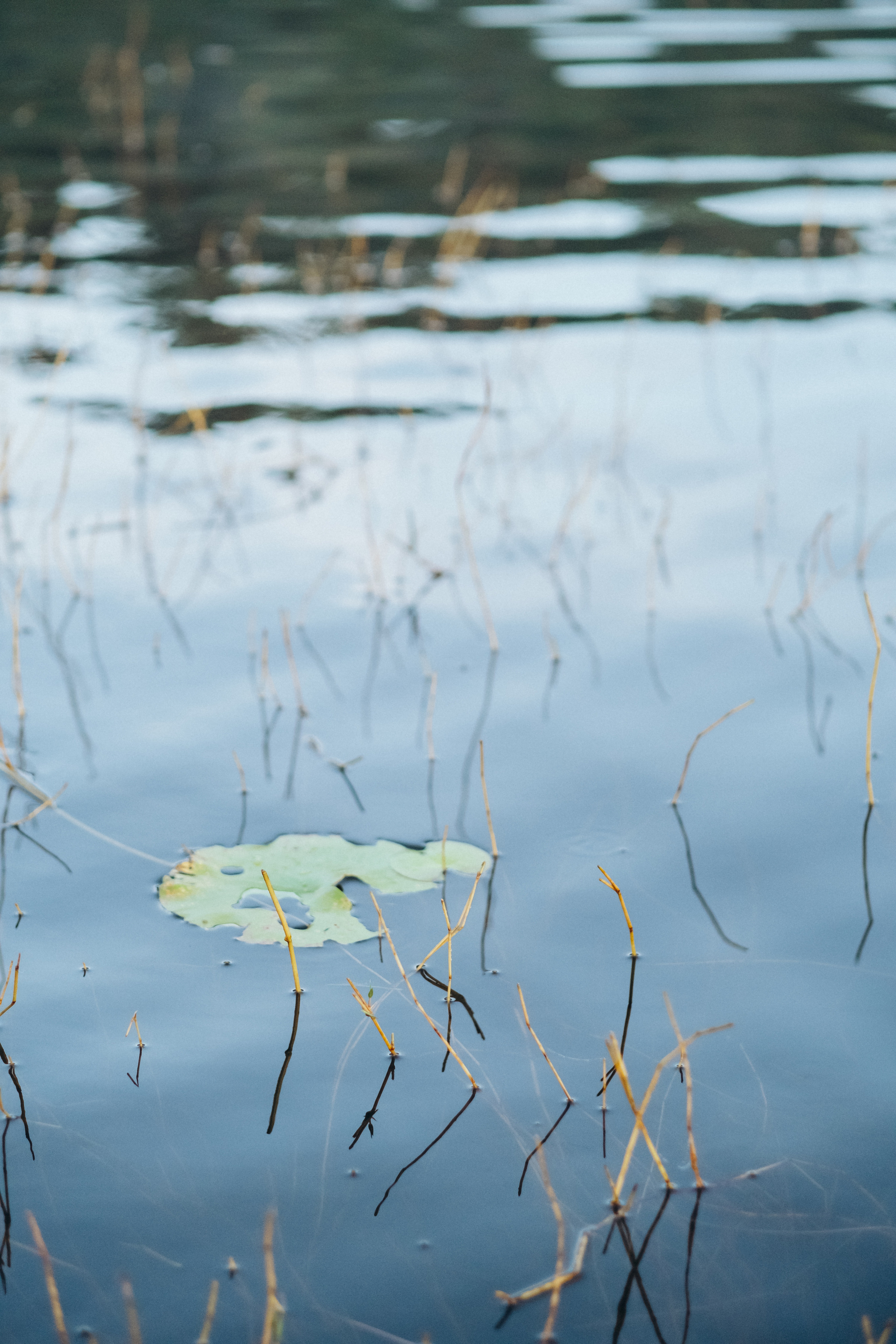 Antonio & Katherin Wedding ceremony in Bali. Фотограф Бали