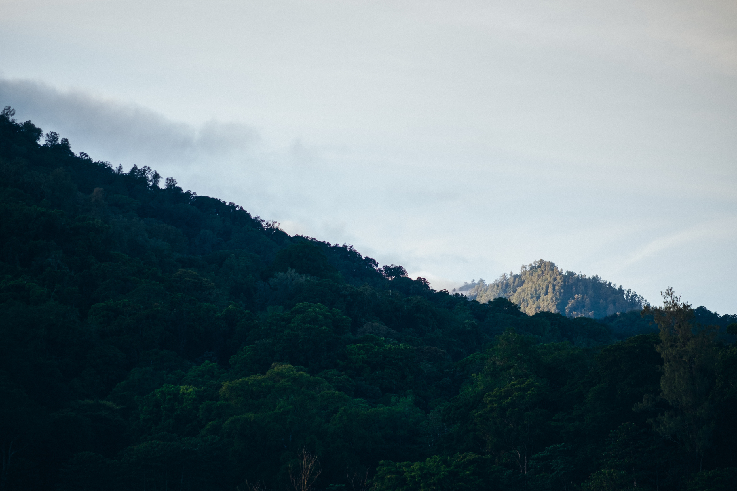 Antonio & Katherin Wedding ceremony in Bali. Фотограф Бали