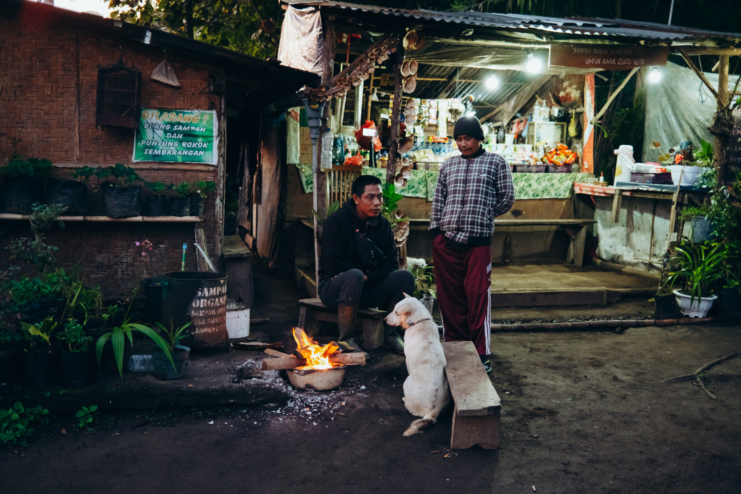 Antonio & Katherin Wedding ceremony in Bali. Фотограф Бали