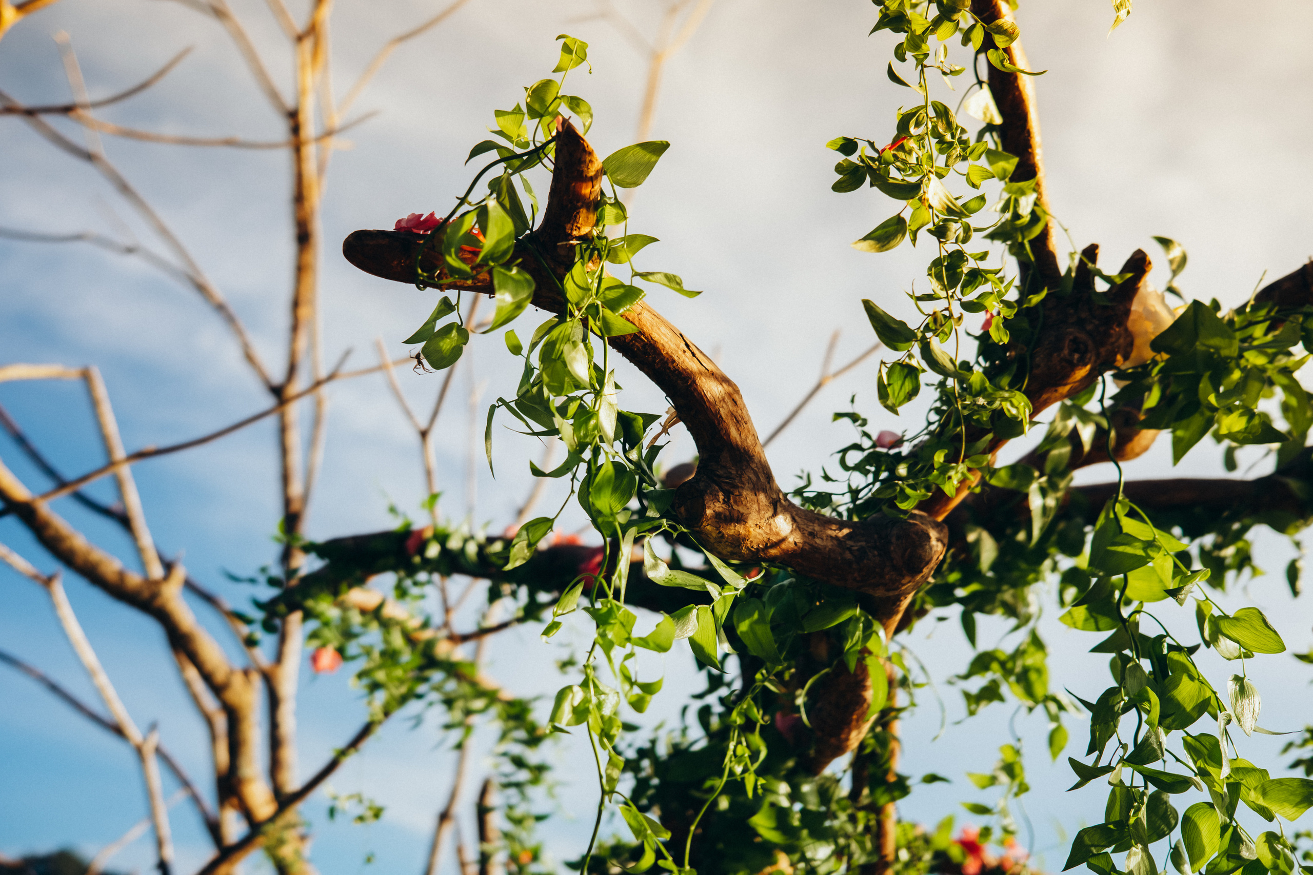Antonio & Katherin Wedding ceremony in Bali. Фотограф Бали