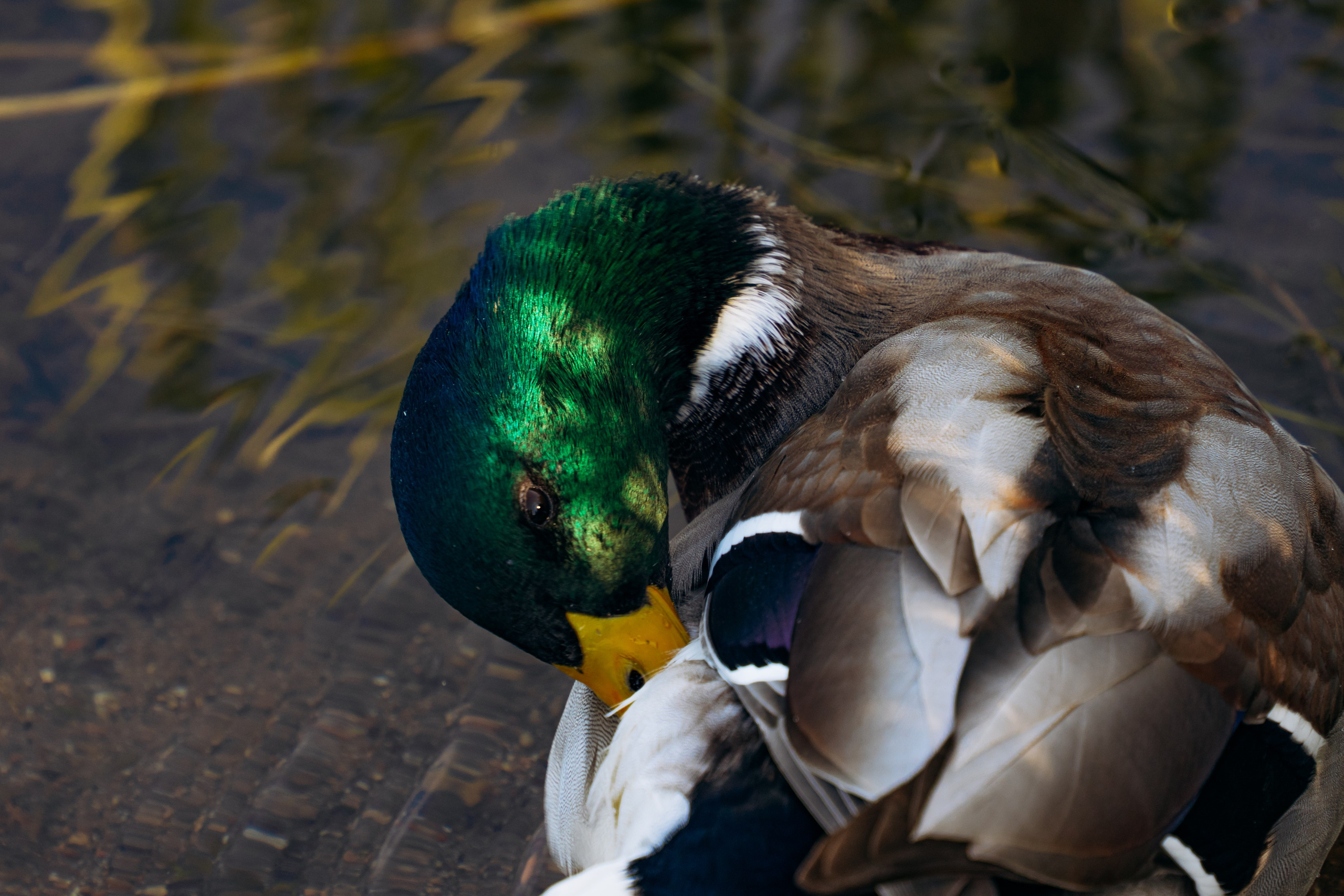 СЕВЕР. Event фотограф Степанова Александра