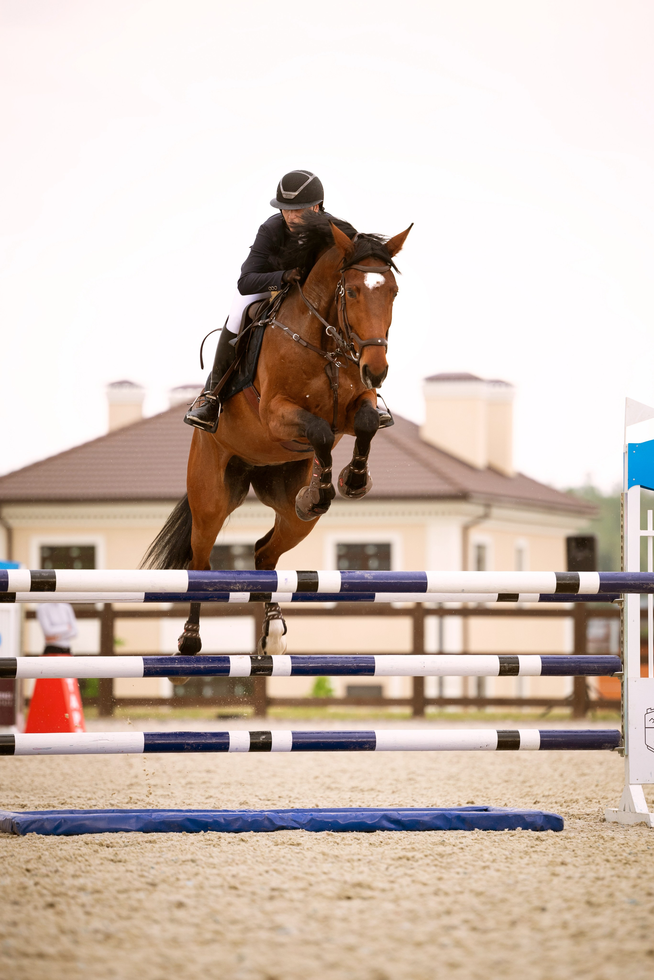 КСК ГЕРМЕС. Мила Астахова