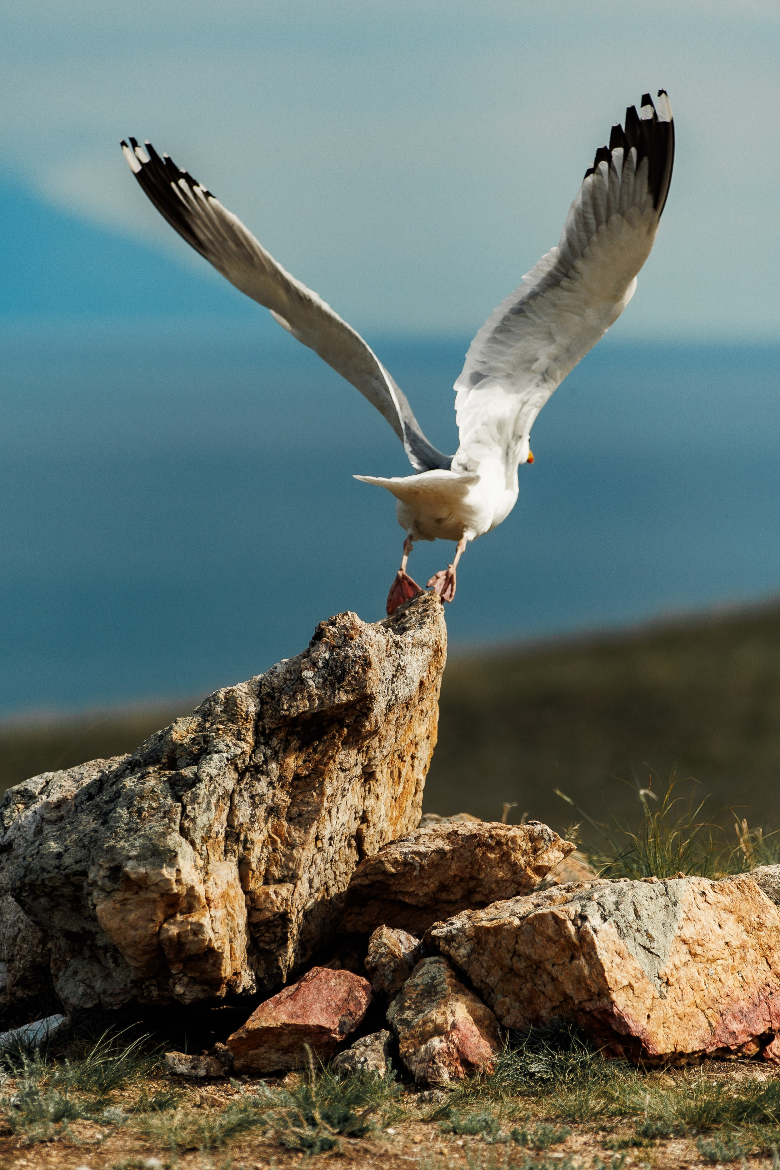 Летний Байкал