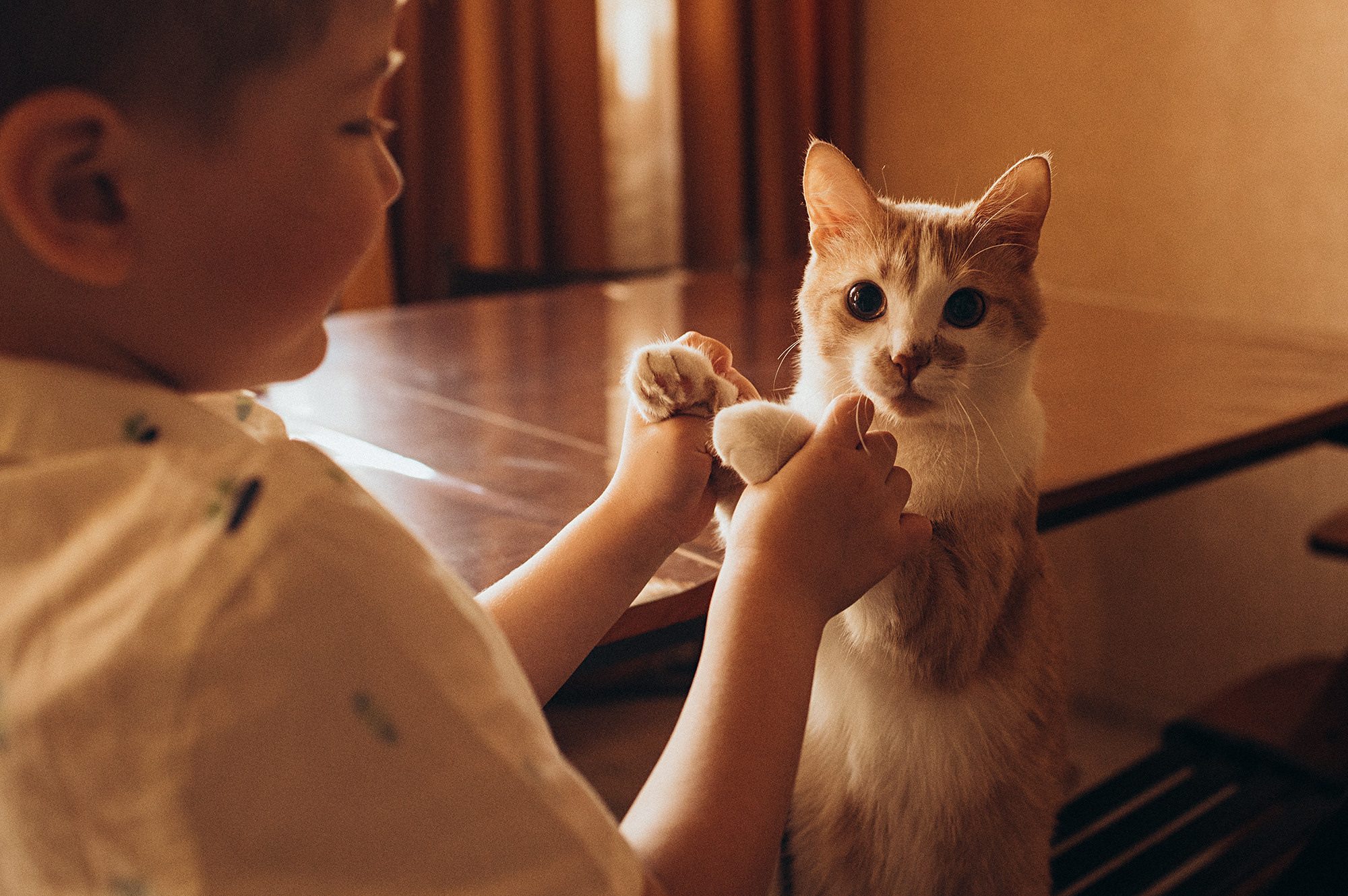 Женя, Юля, Влад и Бублик. Фотограф Виктория Грибова г. Вологда