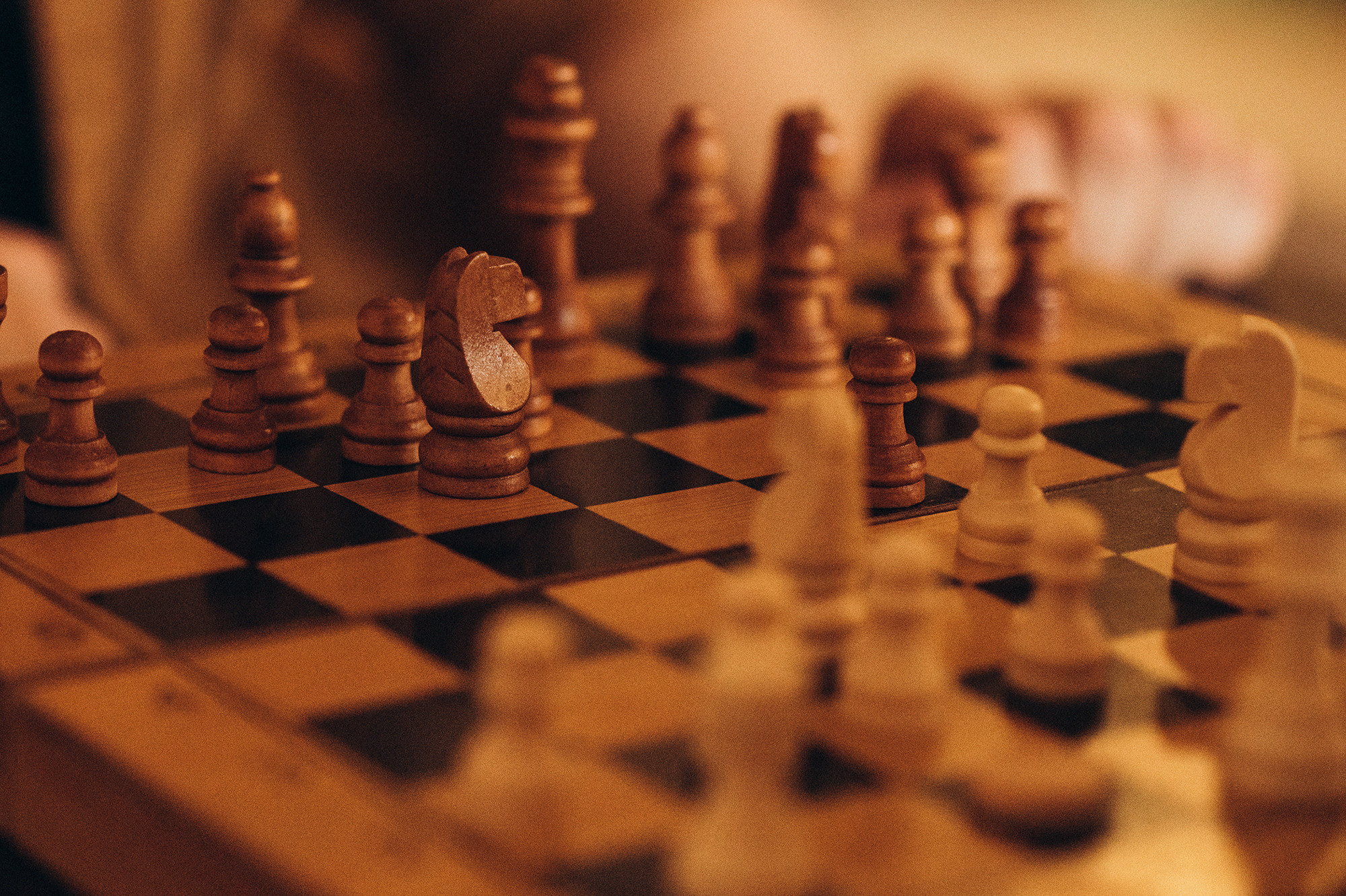 Женя, Юля, Влад и Бублик. Фотограф Виктория Грибова г. Вологда