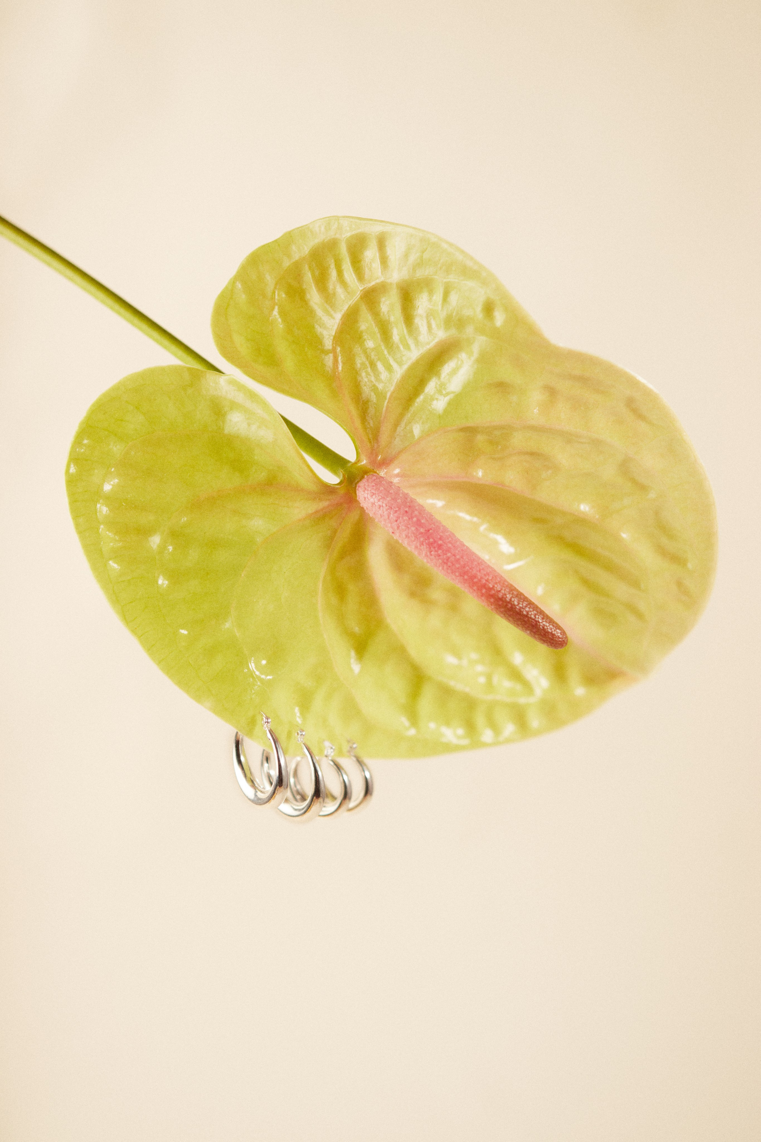 Rassvet Detail. Предметный фотограф Москва Глухарёва Оля