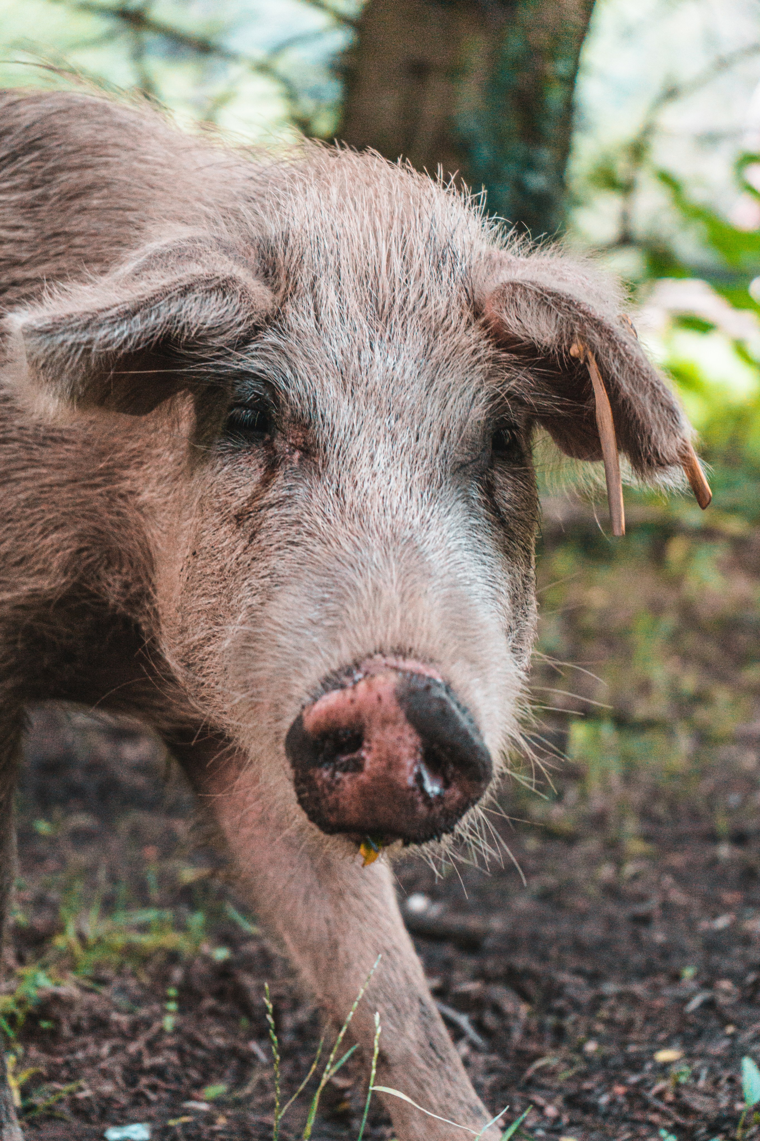 Натура. Владислав Кожух | Фотограф | Видеограф | Режиссёр