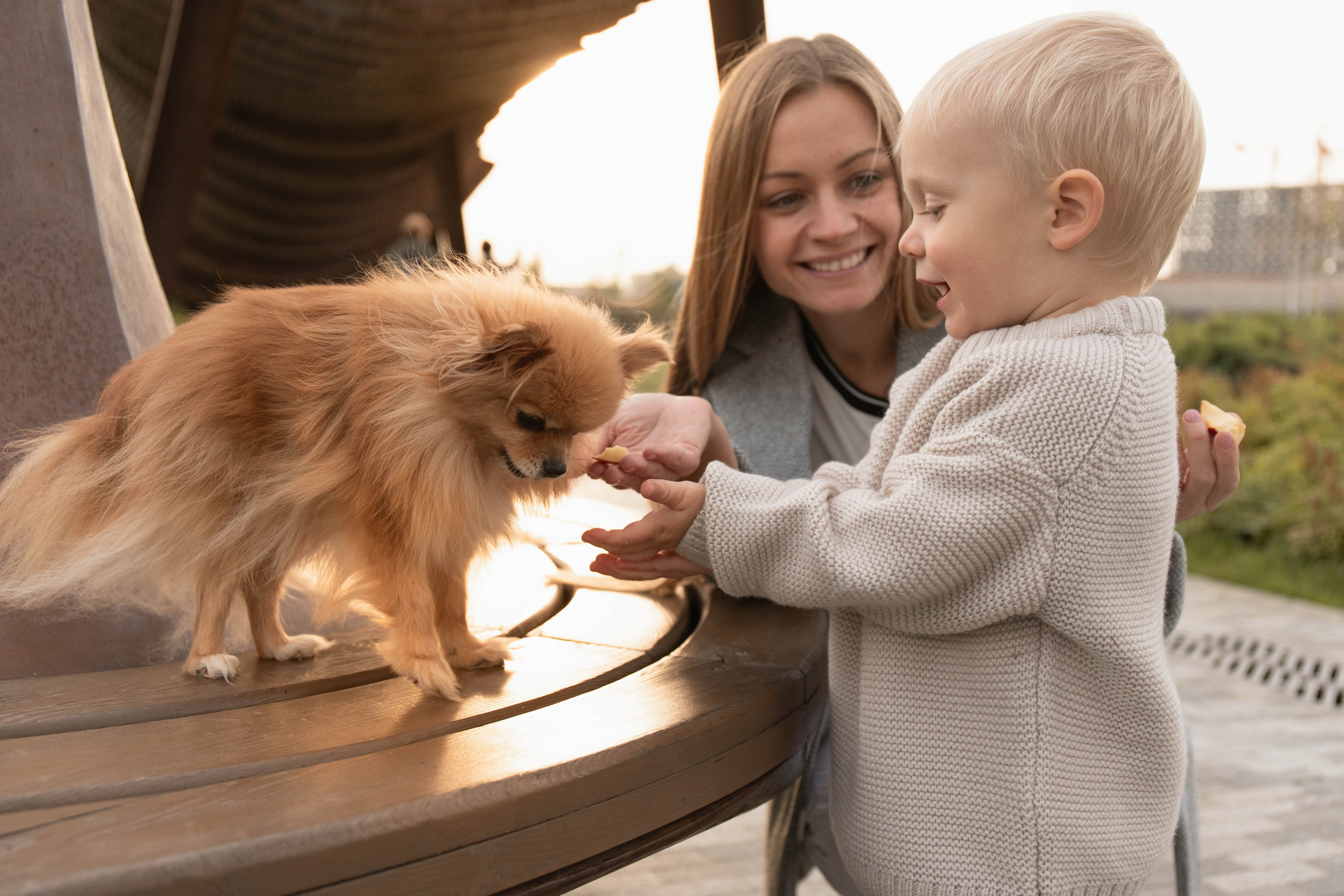 Света и Денис. Главная