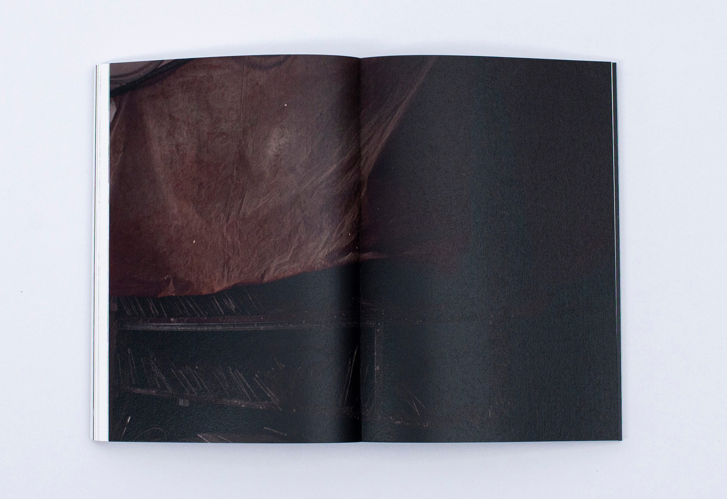 Книга. Фотограф в Москве Алейникова Евгения