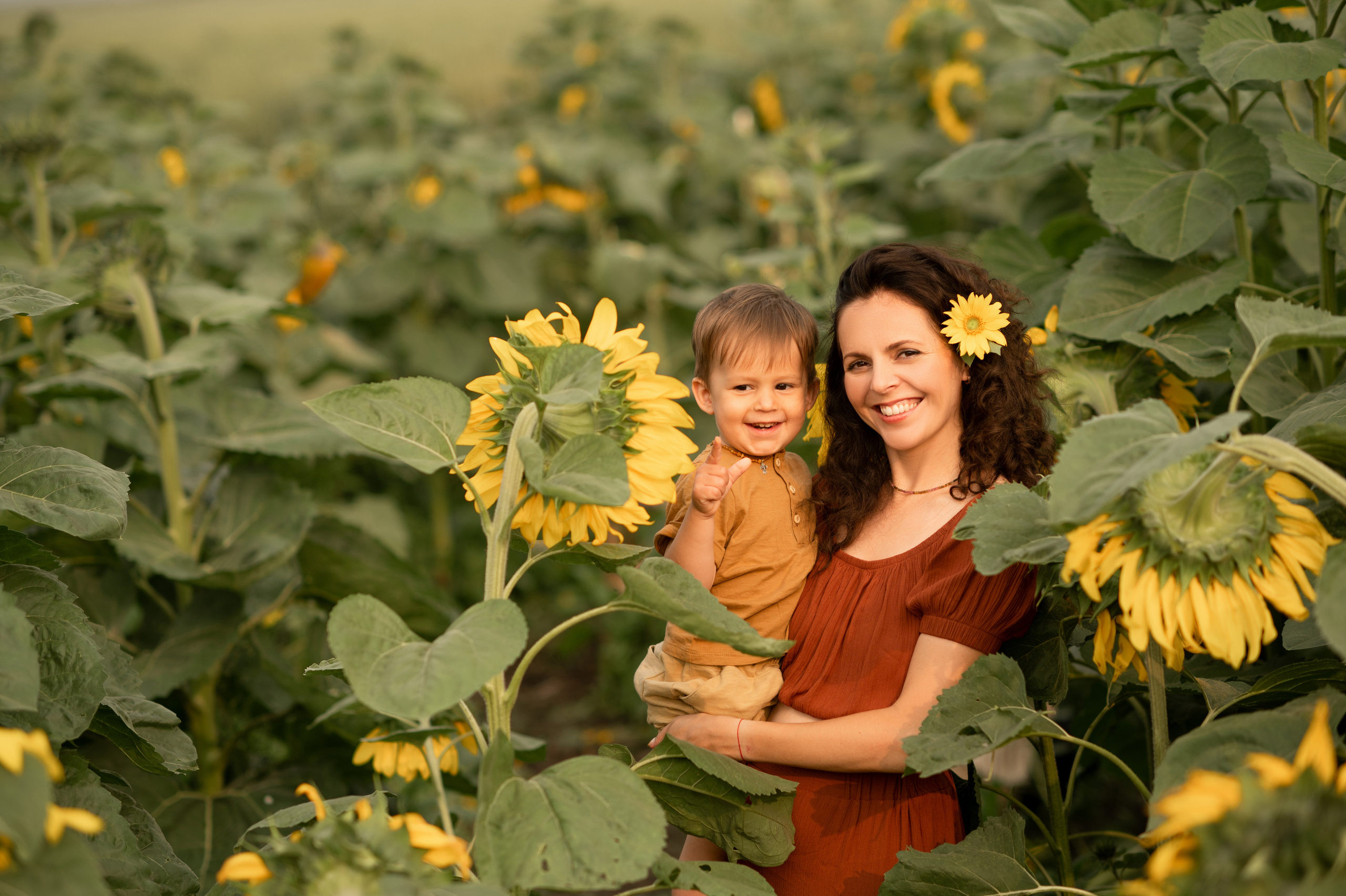 Подсолнухи. Семейный фотограф в Красноярске Надежда Кошелева