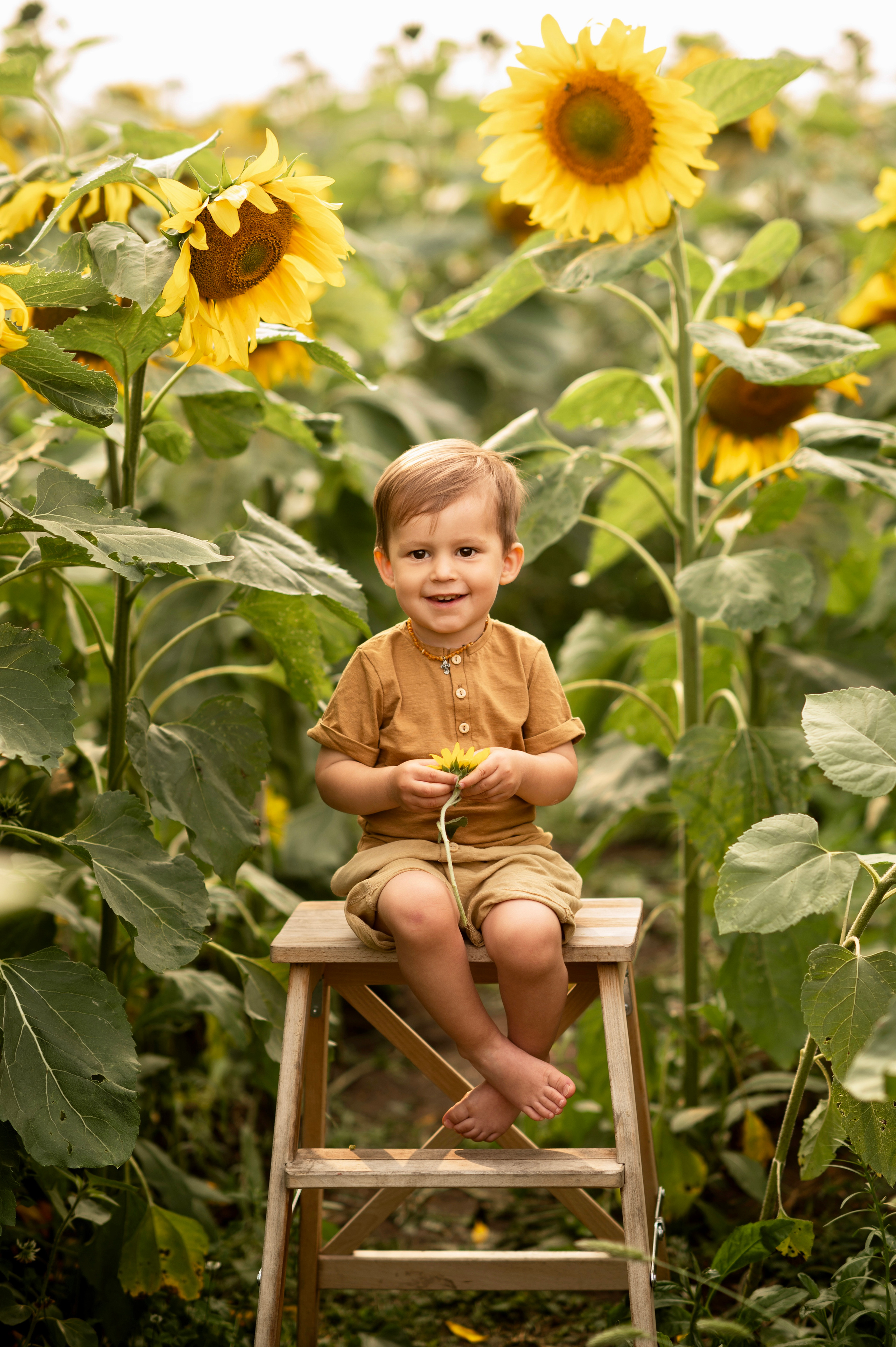 Подсолнухи. Семейный фотограф в Красноярске Надежда Кошелева