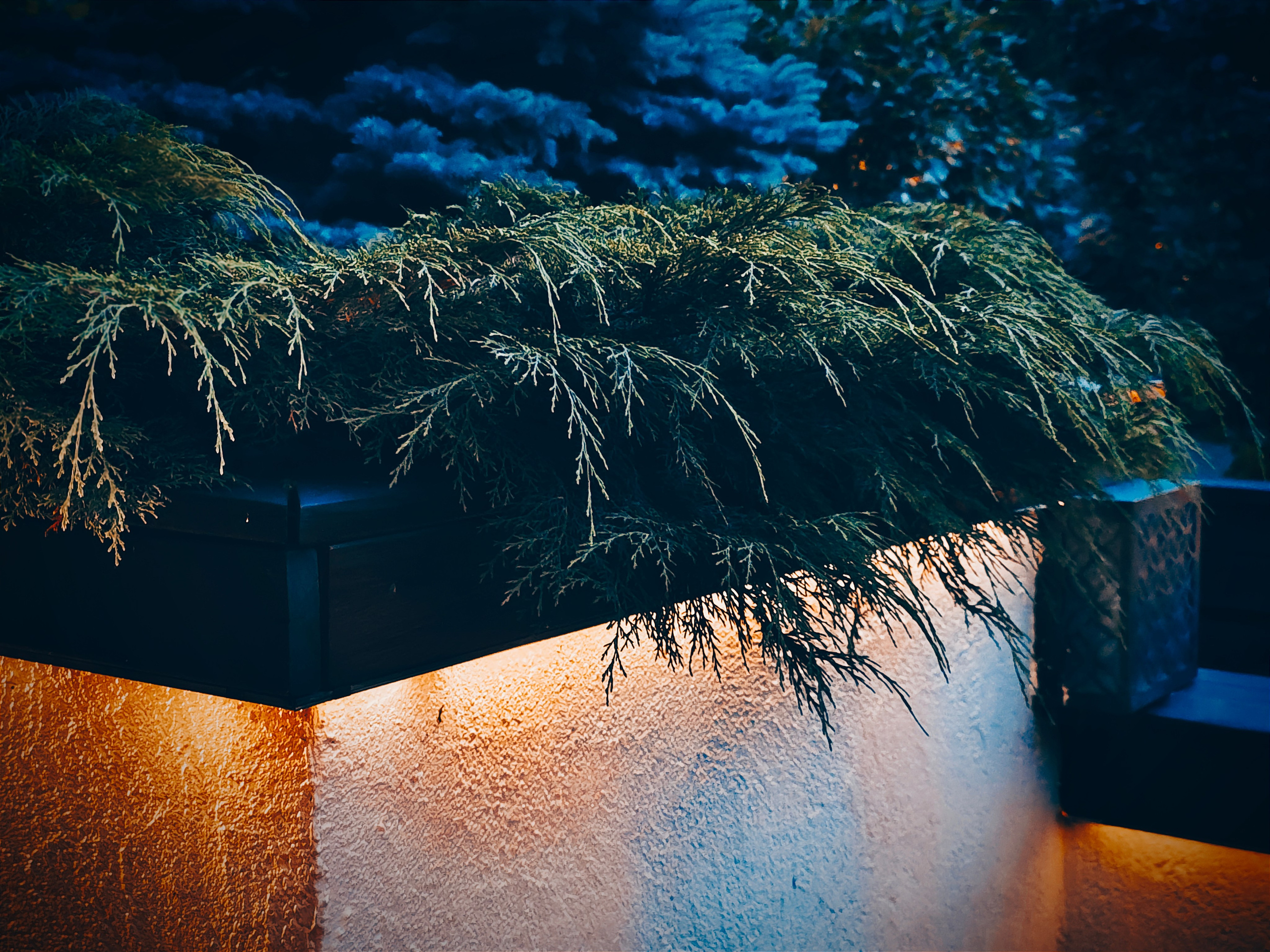 Игорь Урывский. Фотограф Красноярск