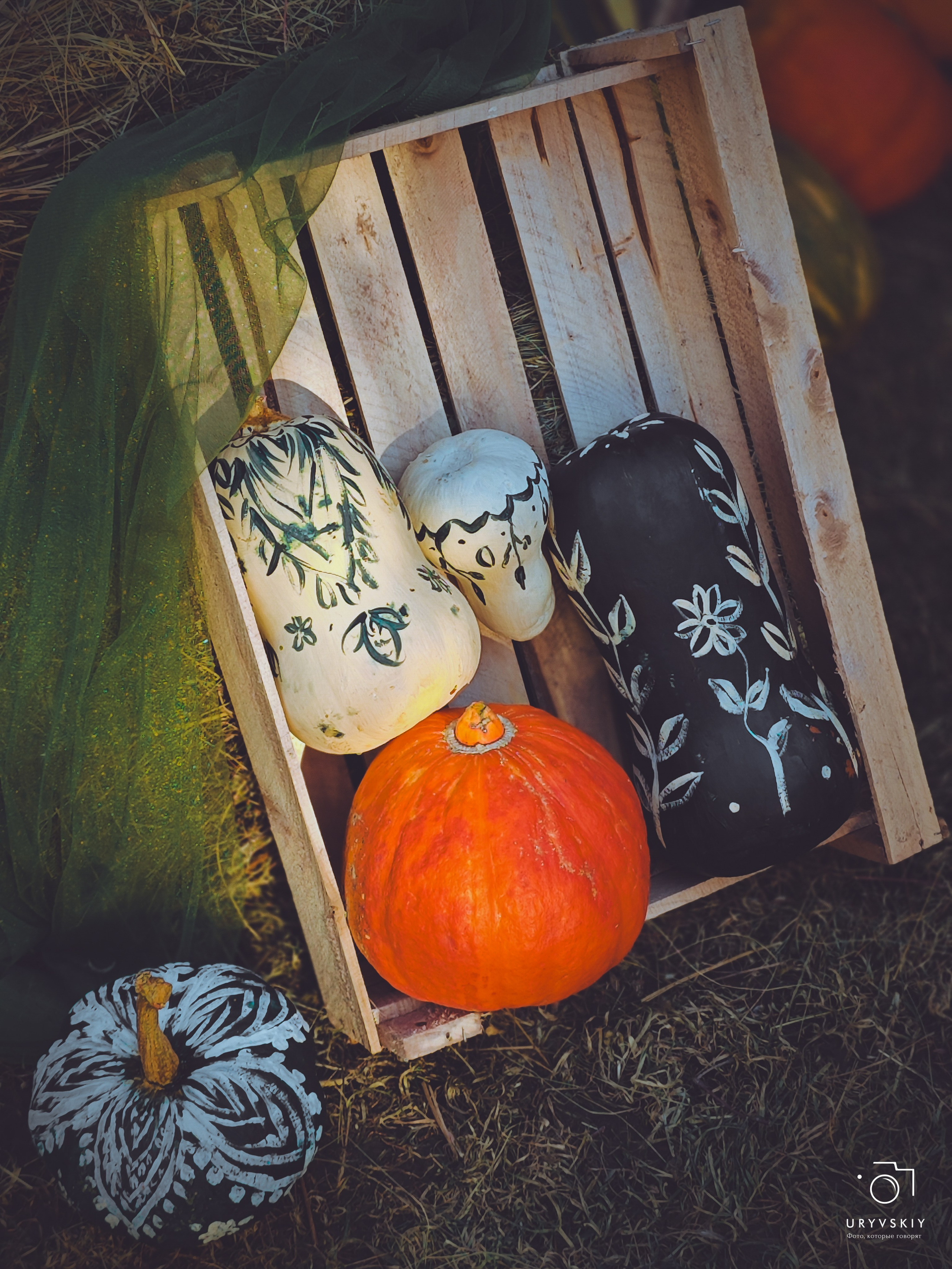 Bellini Осенний маркет. Игорь Урывский. Фотограф Красноярск