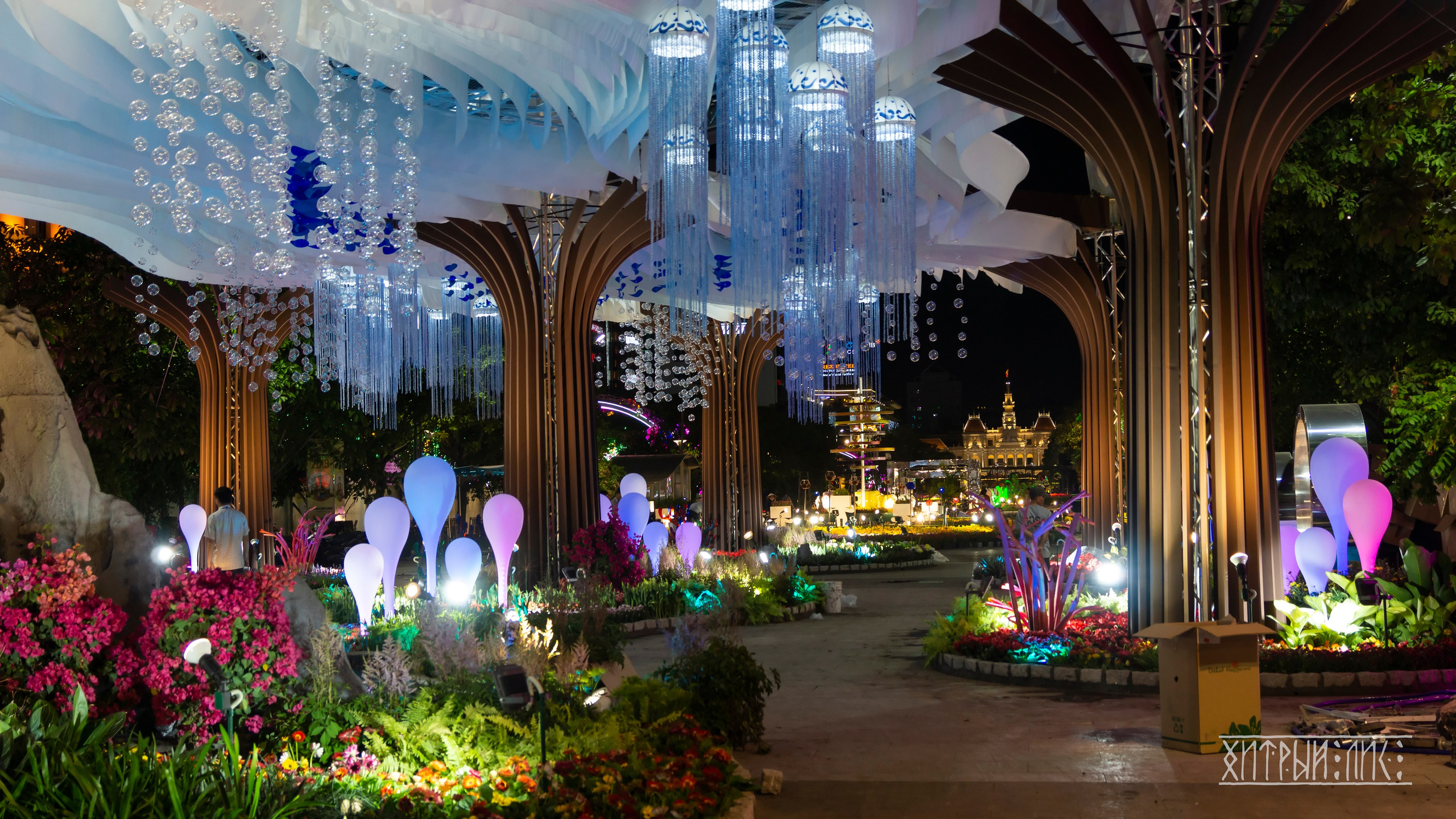 Вьетнам. Фотограф-путешественник Самойлов Максим «Sly Fox»