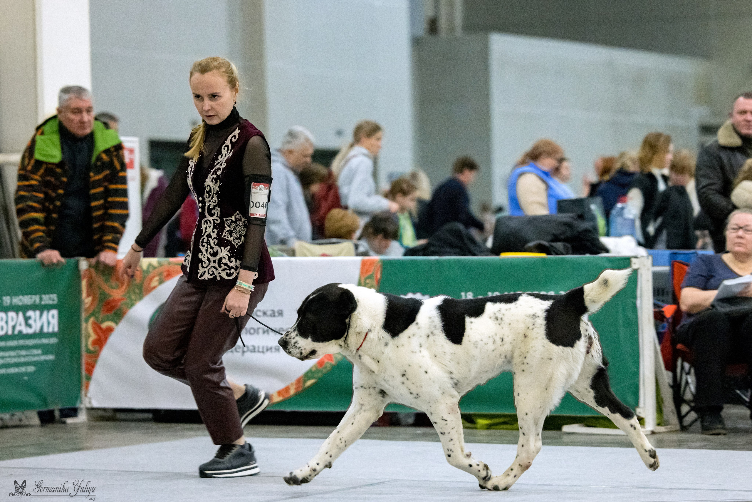 ЕВРАЗИЯ 18-19.11.2023. Фотограф-анималист Юлия Германика
