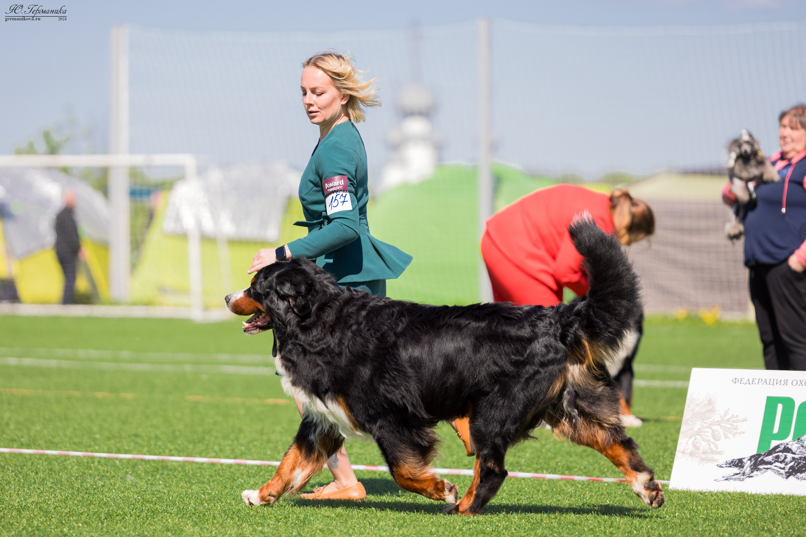 Суздаль 18-19.05.2024. Фотограф-анималист Юлия Германика