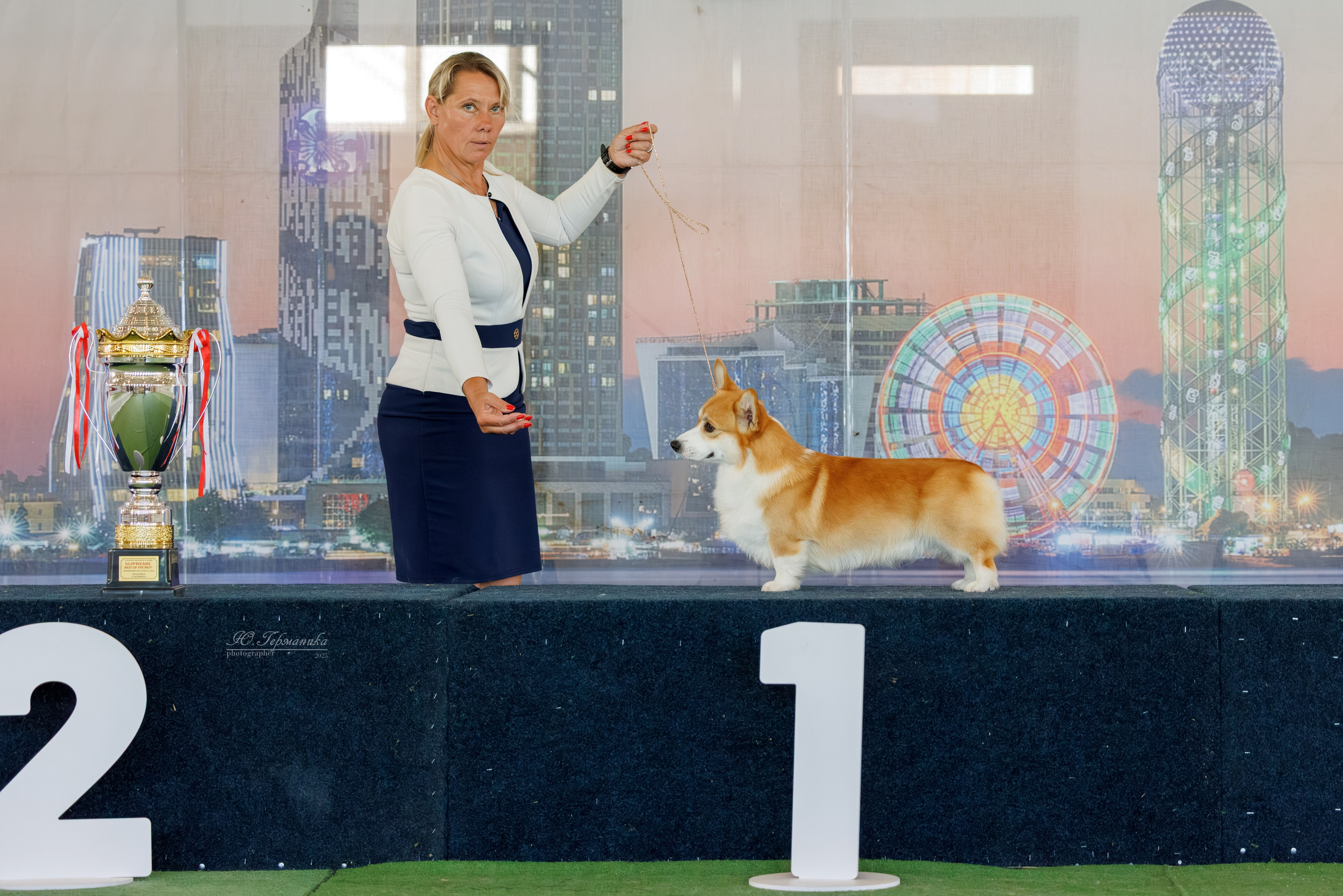 Батуми 3хCACIB 27-29.06.2025. Фотограф-анималист Юлия Германика