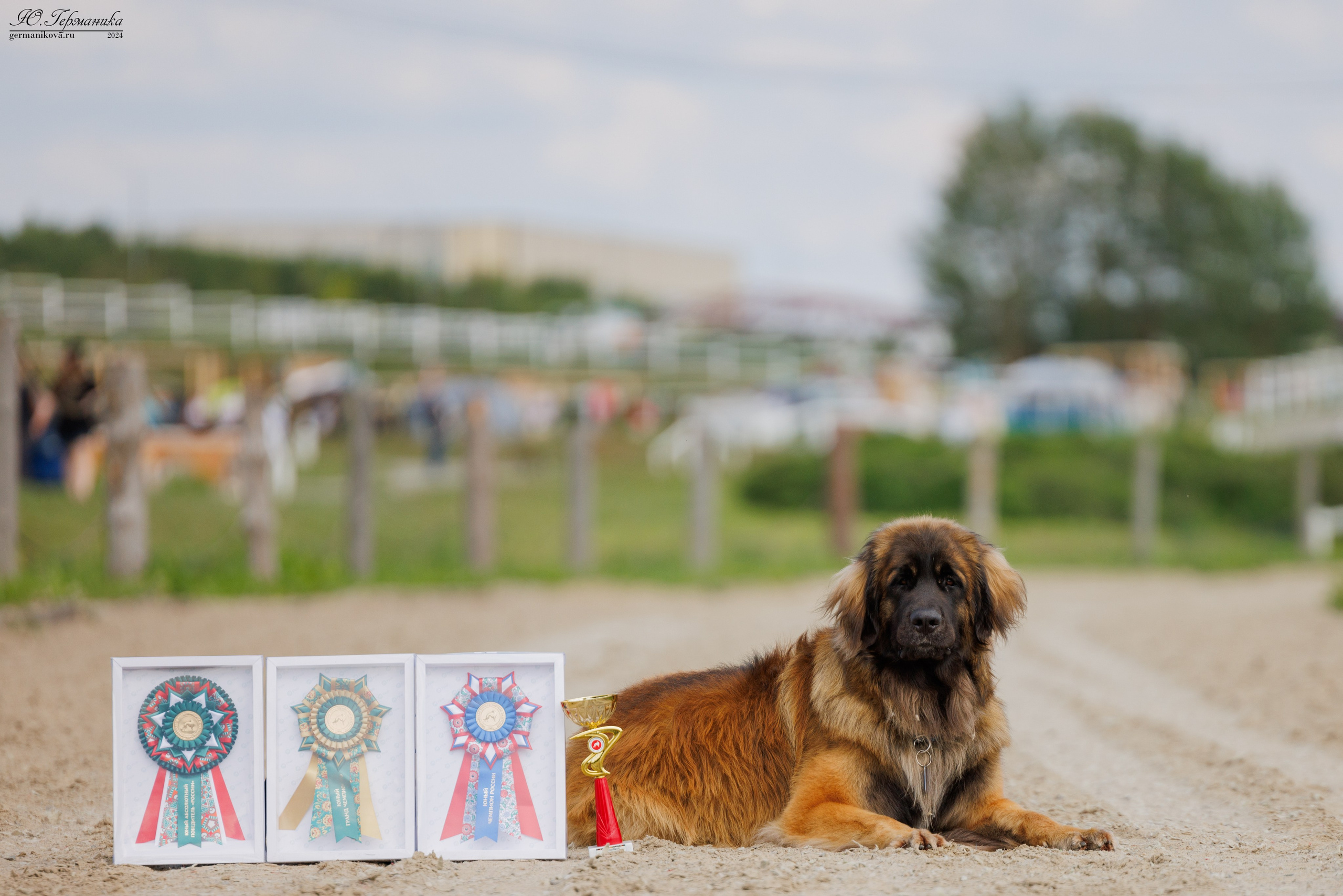 РОССИЯ 8-9.06.2024. Фотограф-анималист Юлия Германика