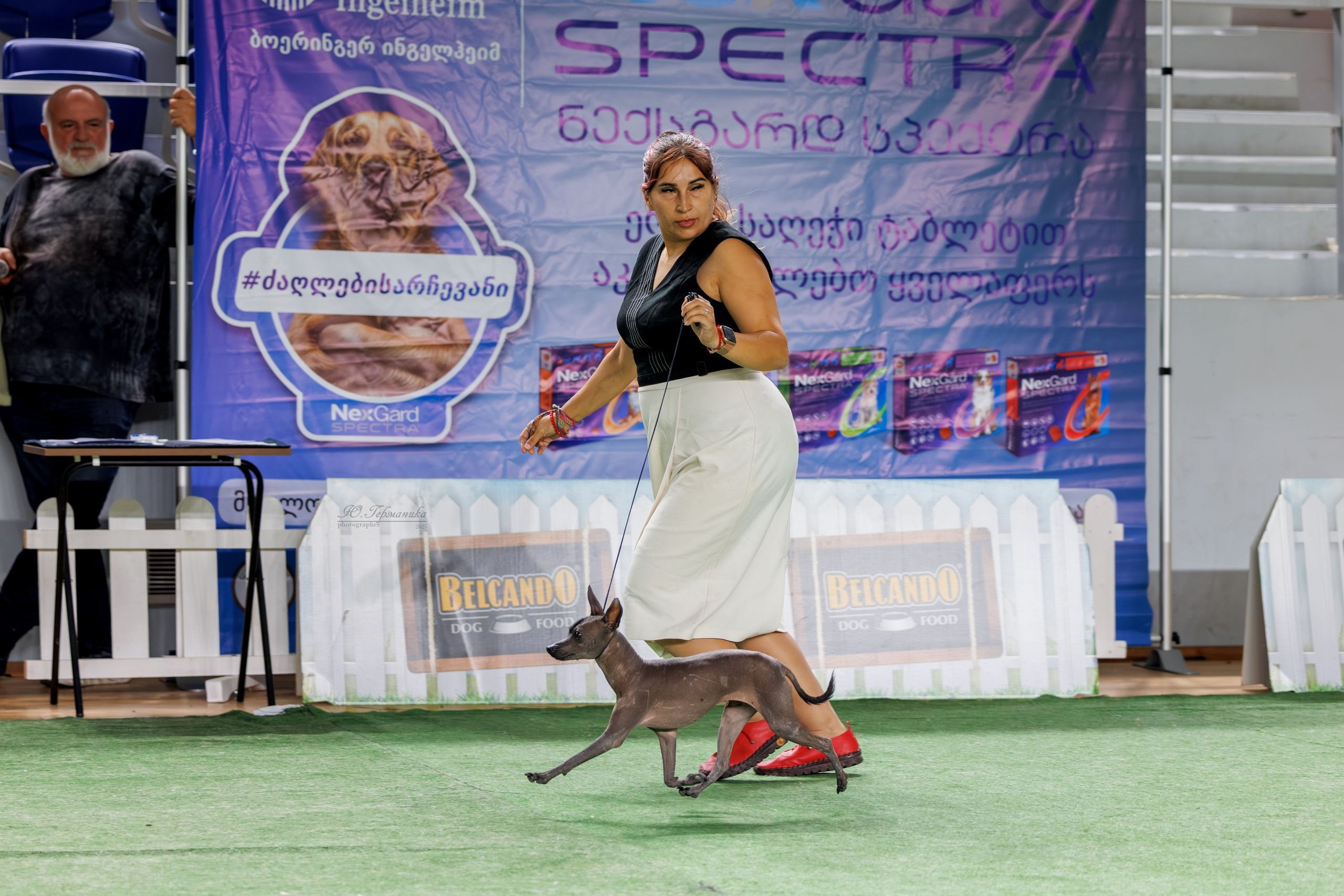 Телави 11-12.10.2025. Фотограф-анималист Юлия Германика