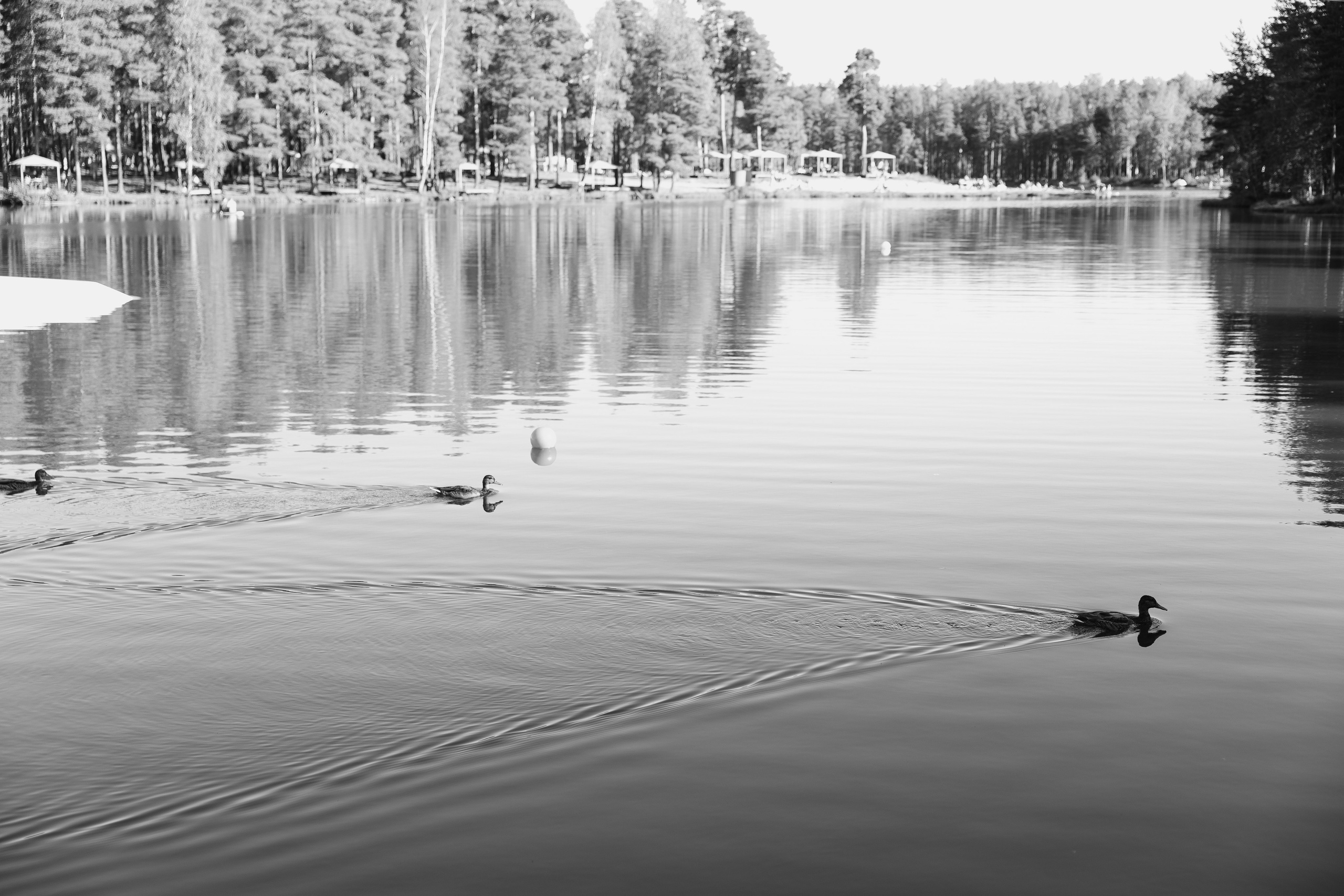 Я с тобой, ты со мной, и нет нас отдельно — Сплин