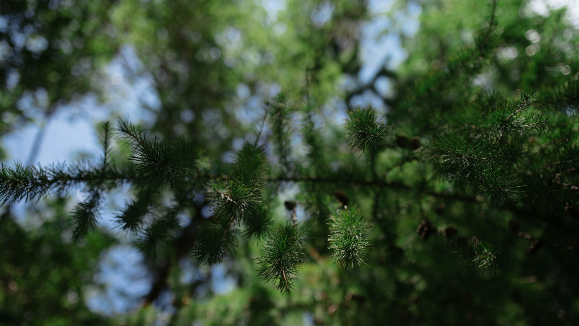 Day of Love. Портретный и репортажной фотограф Алексей Волков. Москва, Оренбург
