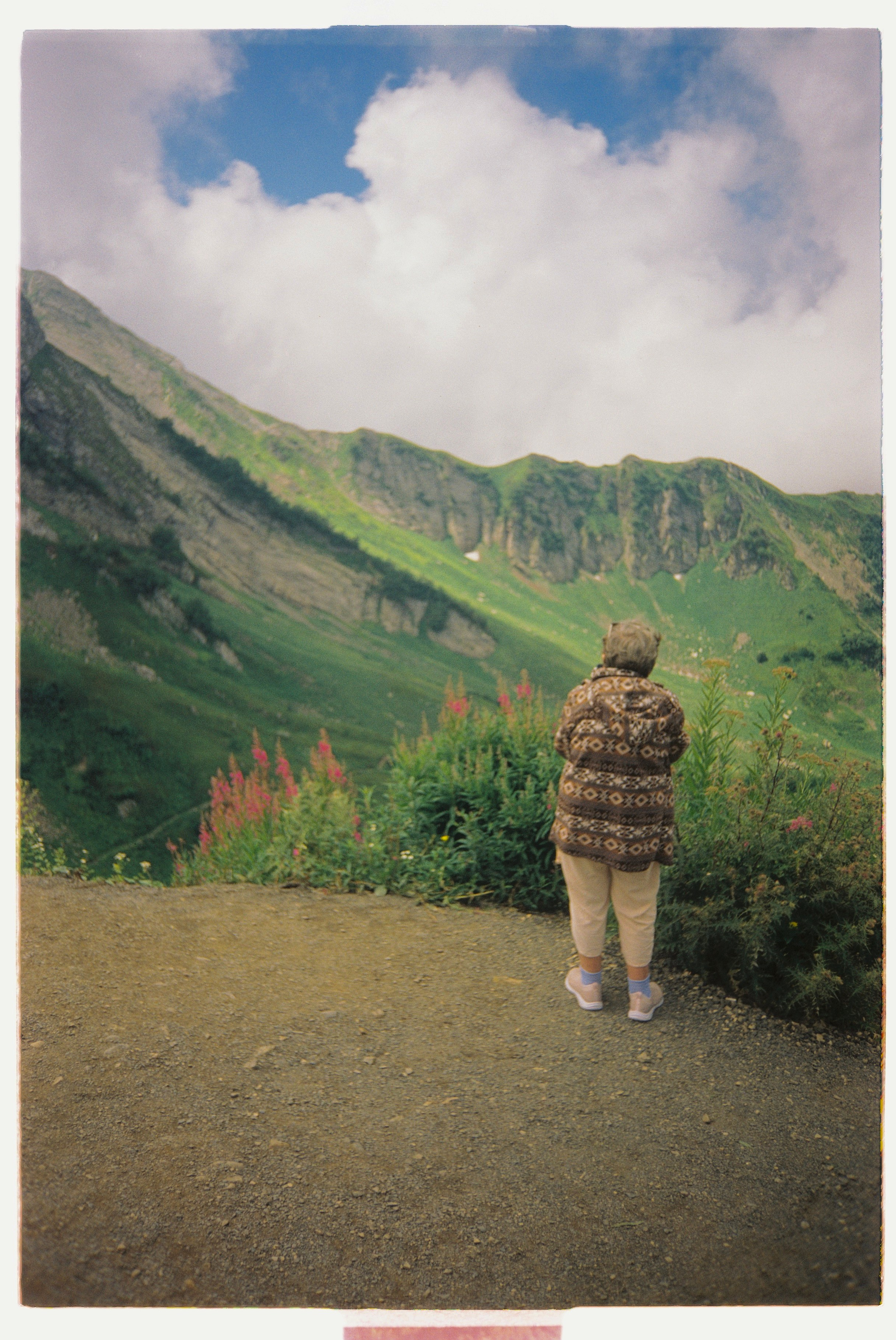 Пленка. Фотограф Синицына Анна