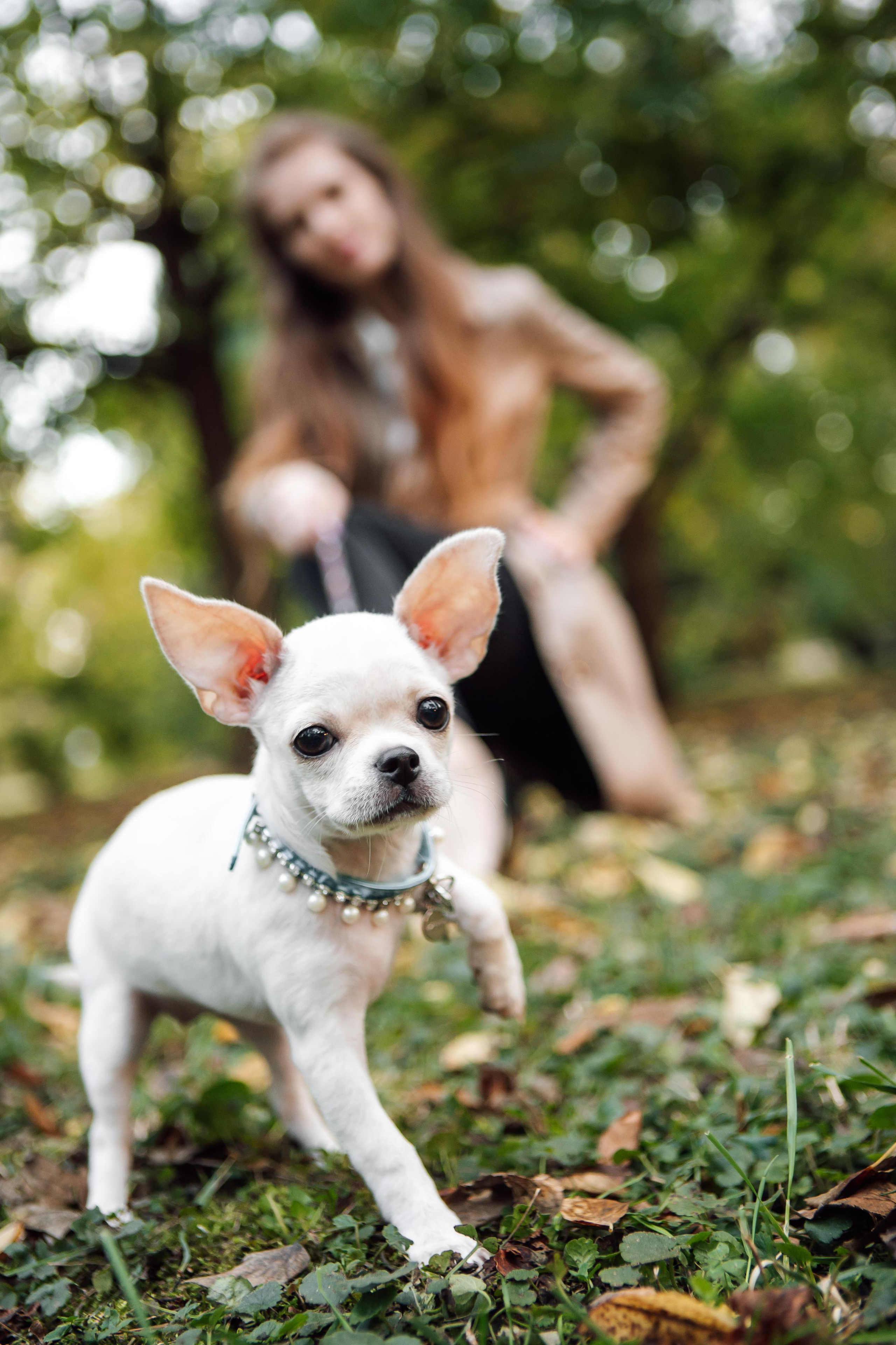 Осень в Ботаническом саду 2020. Семейный фотограф, свадебный фотограф, детский фотограф в Краснодаре А