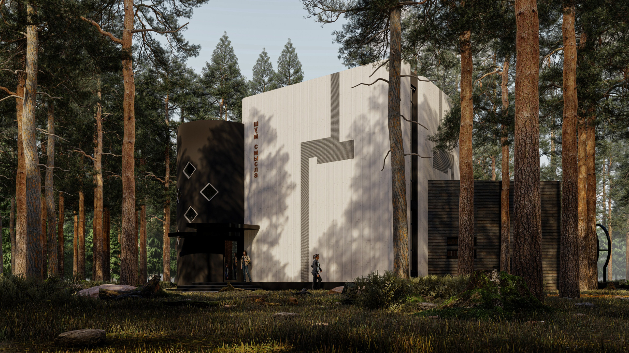 Музей современной скульптуры " Шум смысла ". Архитектурное проектирование