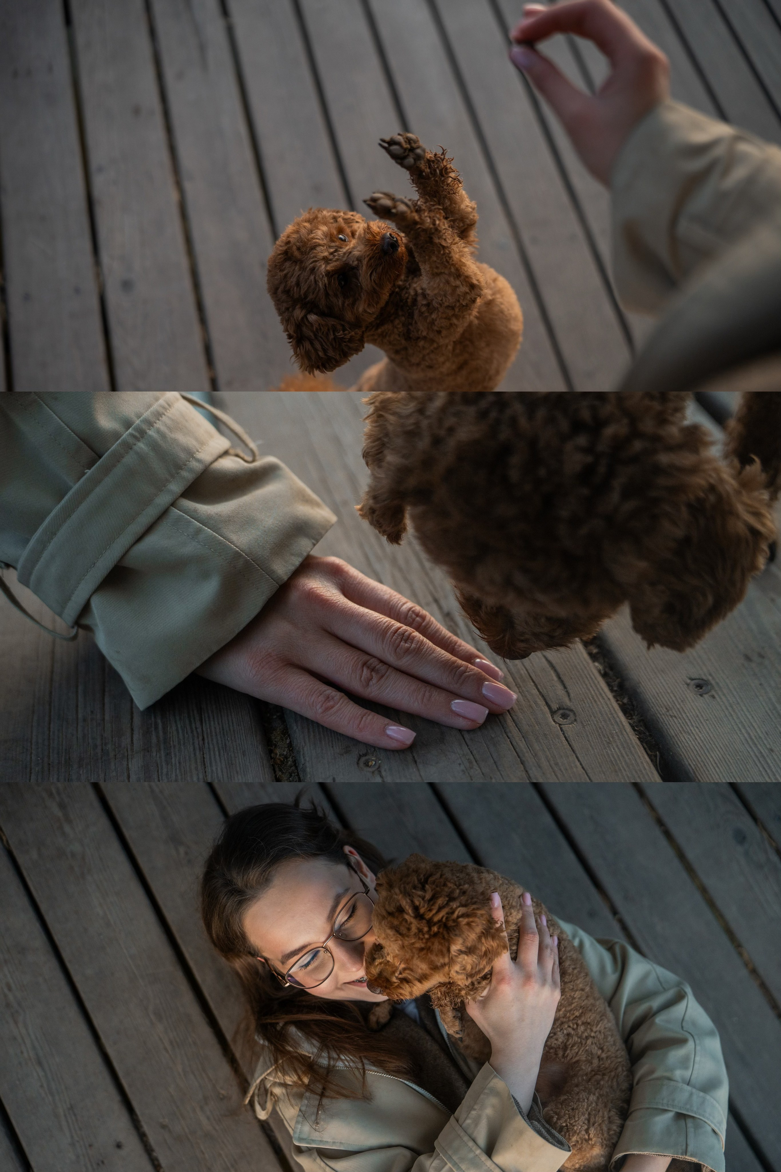 Лия и Чарли. Фотограф анималист в Москве и Санкт-Петербурге Свиридова Анна