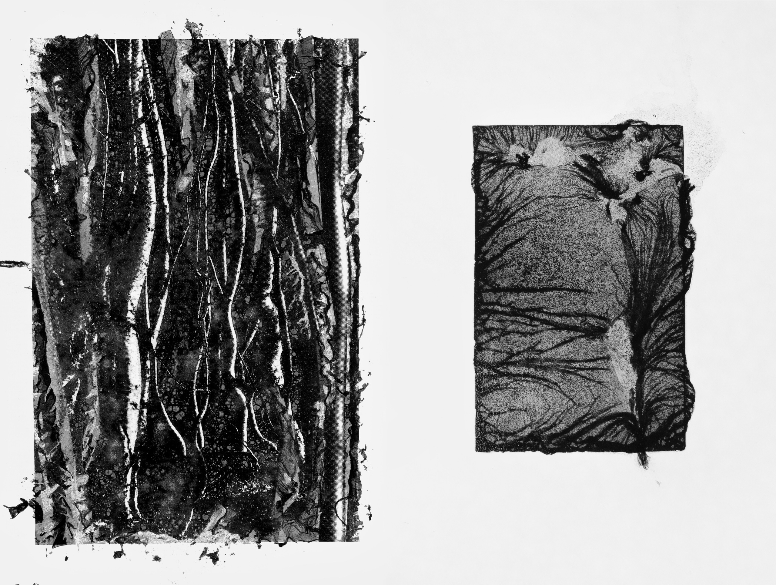 Boundaries of reality. Irina Borodina