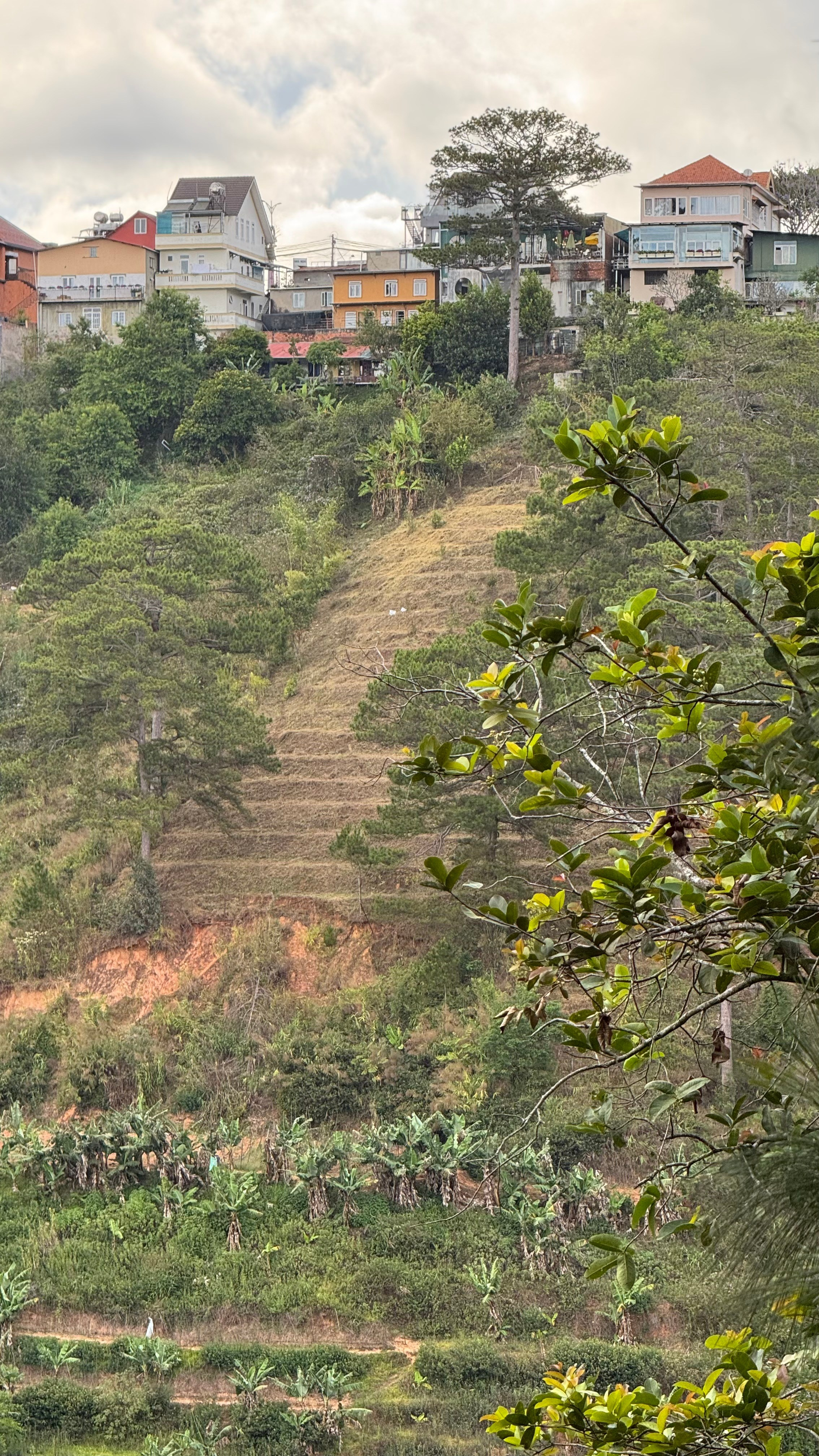 Вьетнам.Далат 2025. А вот и да!