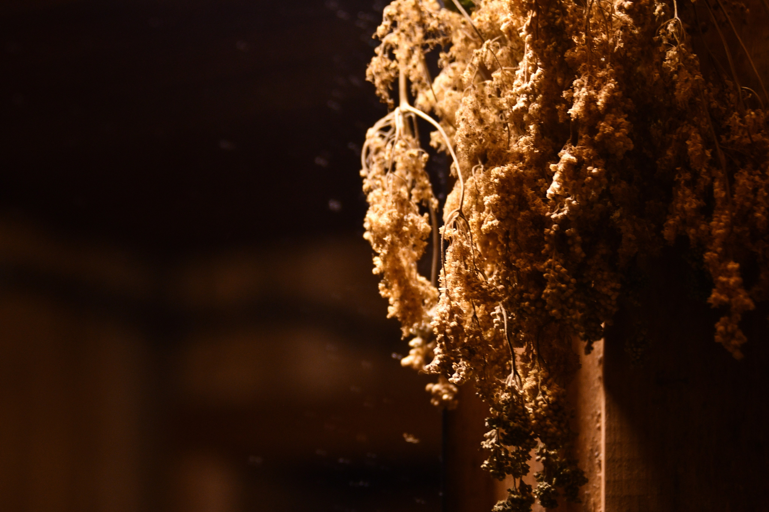 Контент-съемка для Инны. Фотограф в Санкт-Петербурге Ксения Яковчук