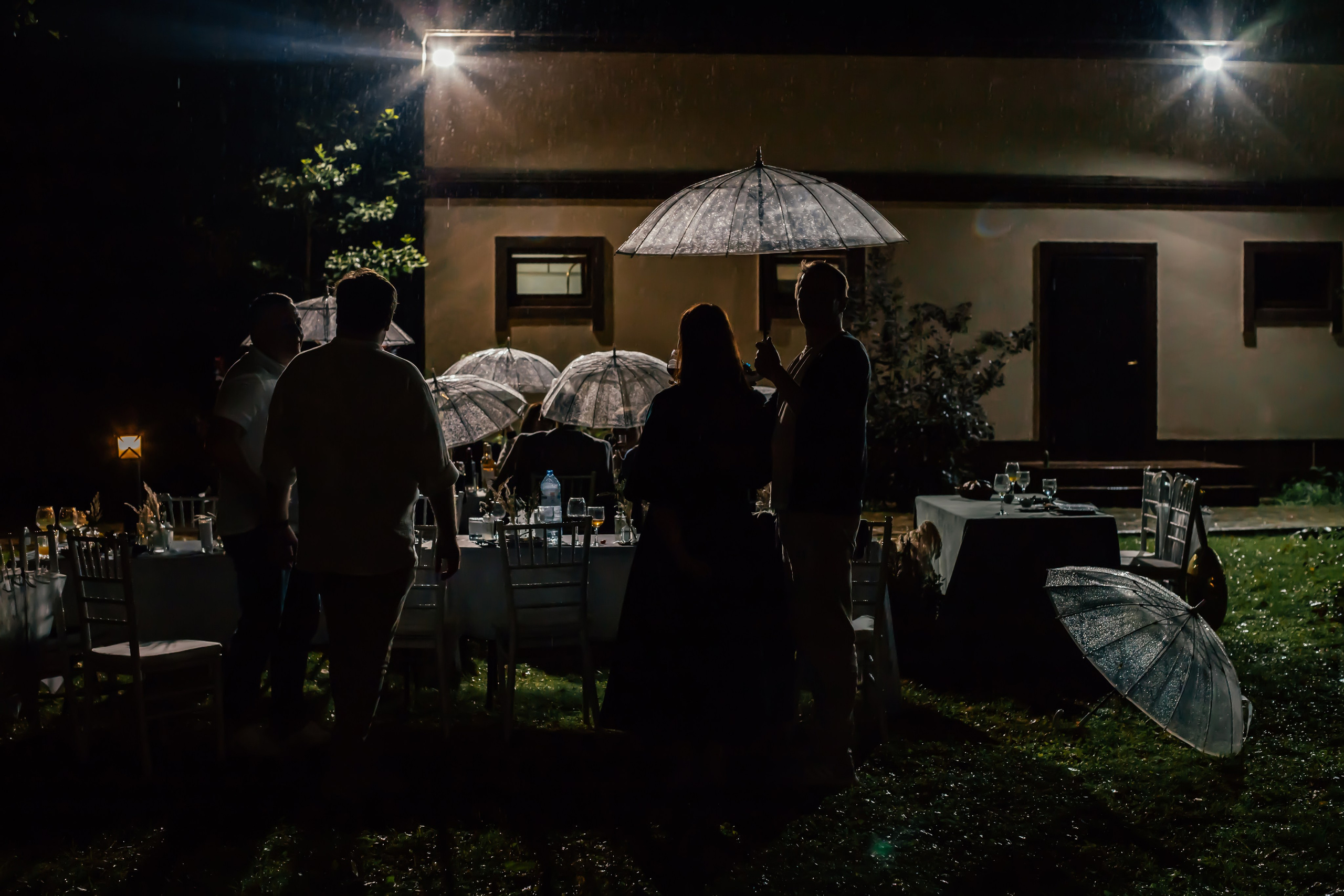 Свадьба Сергей и Ангелина. Анастасия Давыдова