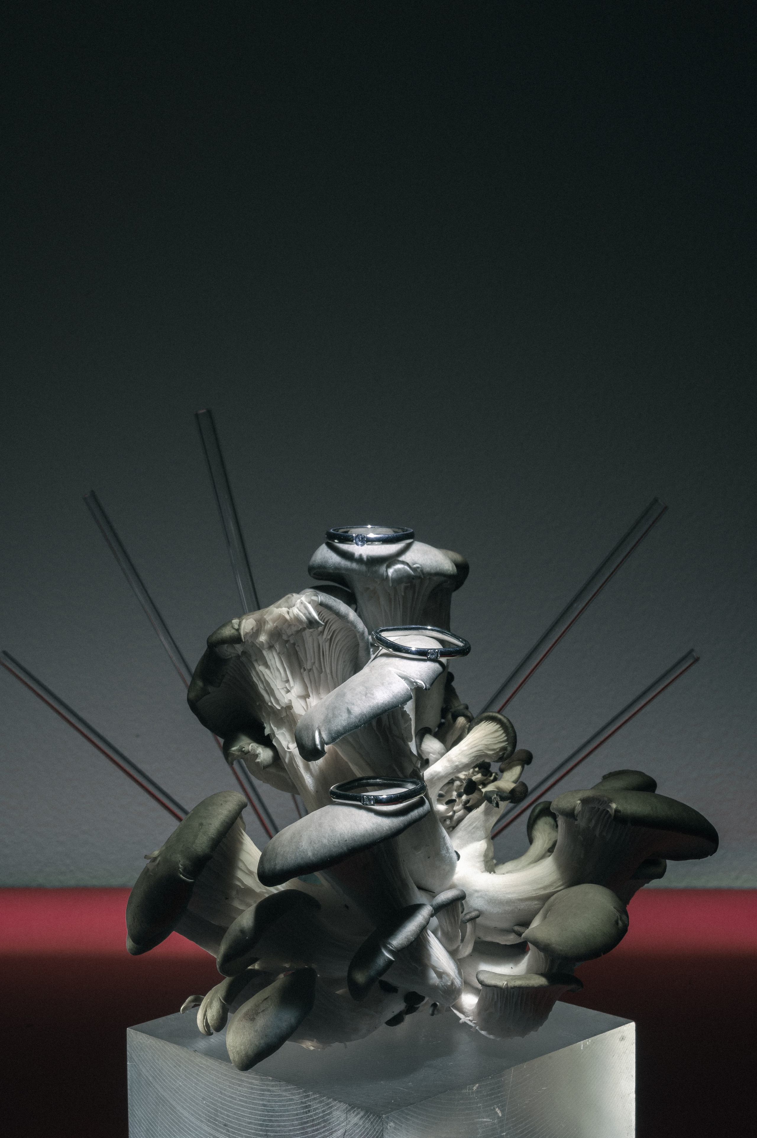 Product still-life. Контент фотограф в Саратове и Москве Дима Савельев