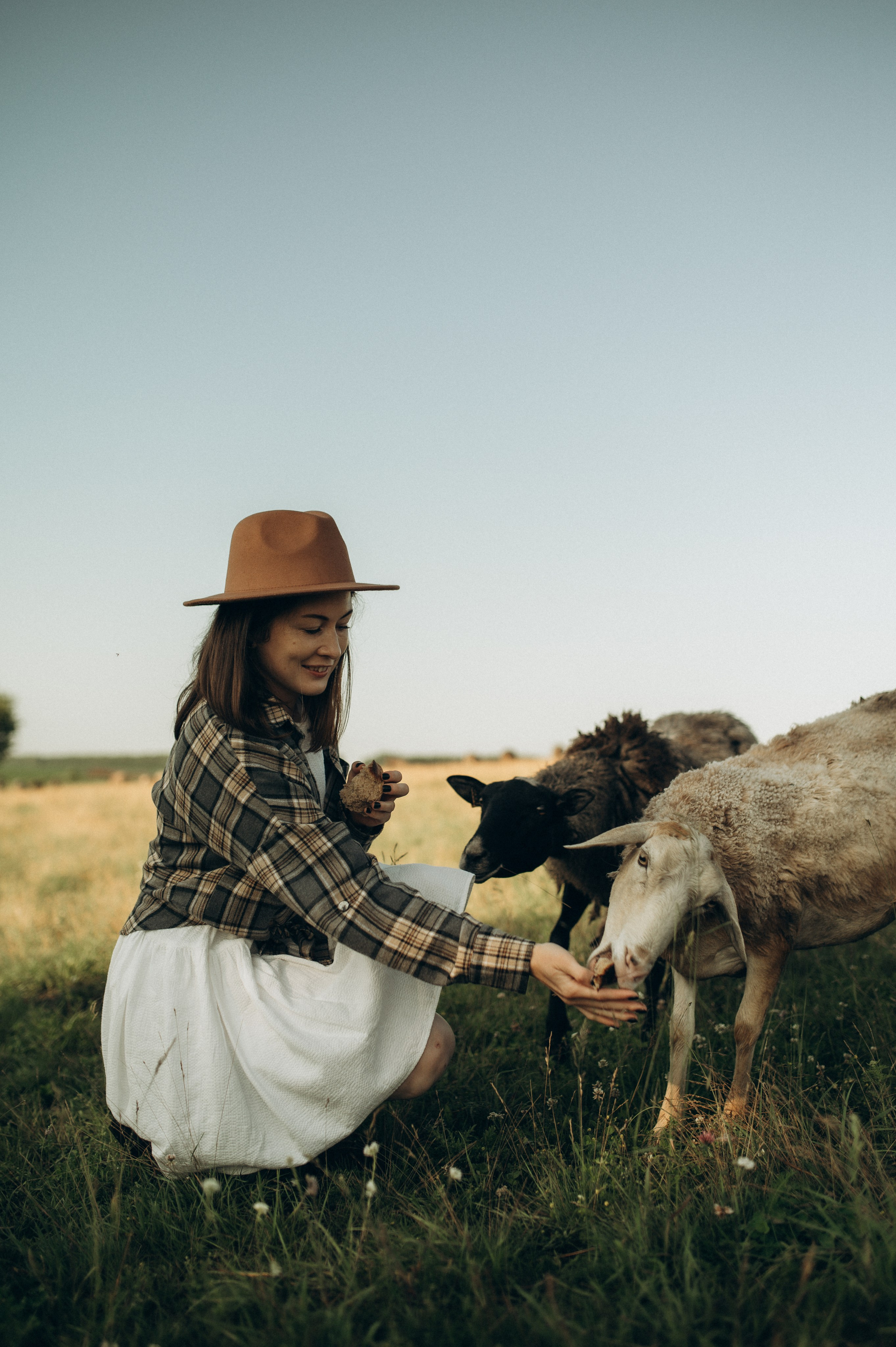 Фотосессия с овечками. Фотограф Быстрова Дарья г. Москва