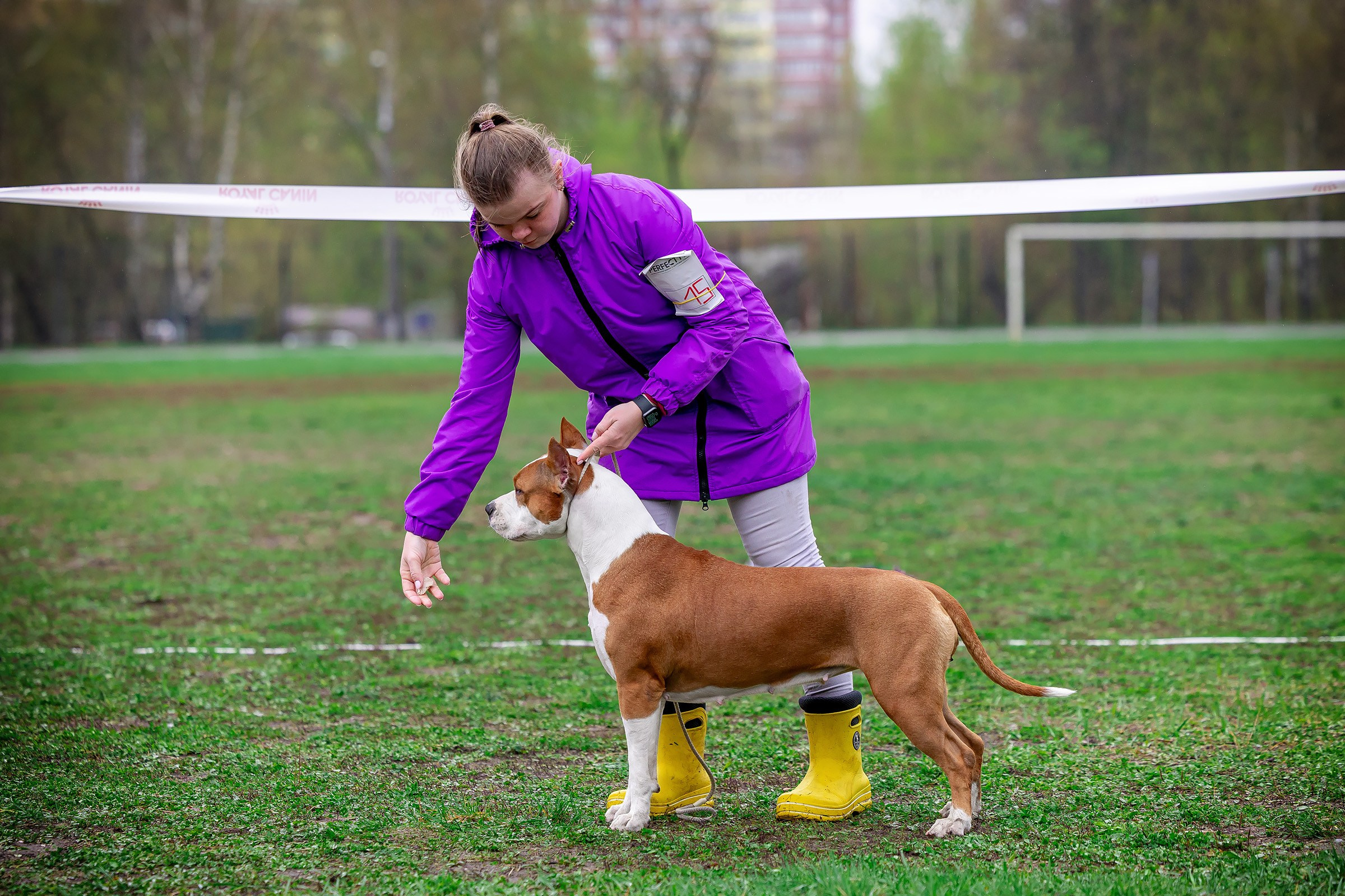 11 мая 2025, Выставка РКФ, г. Пермь. Htykk_photo