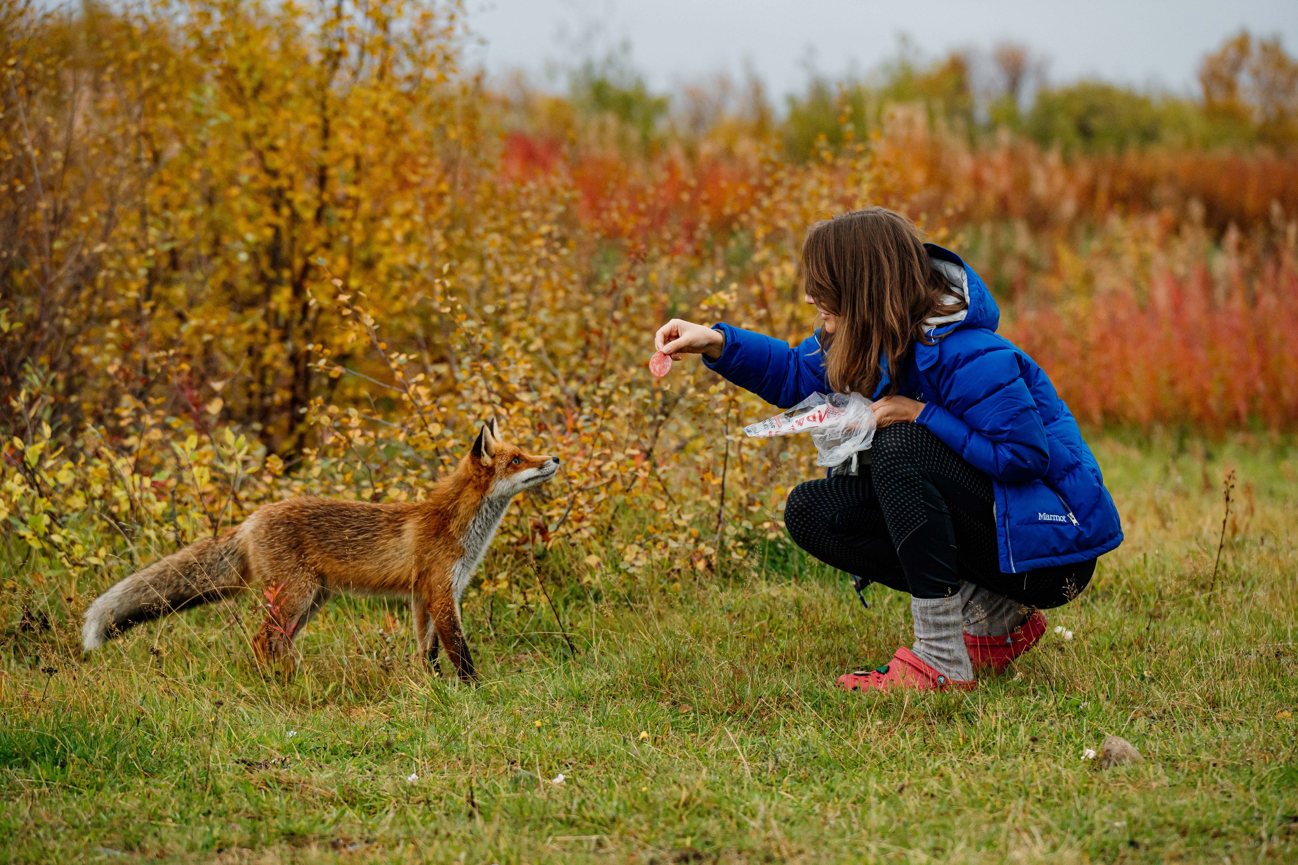 СЕВЕР. Event фотограф Степанова Александра