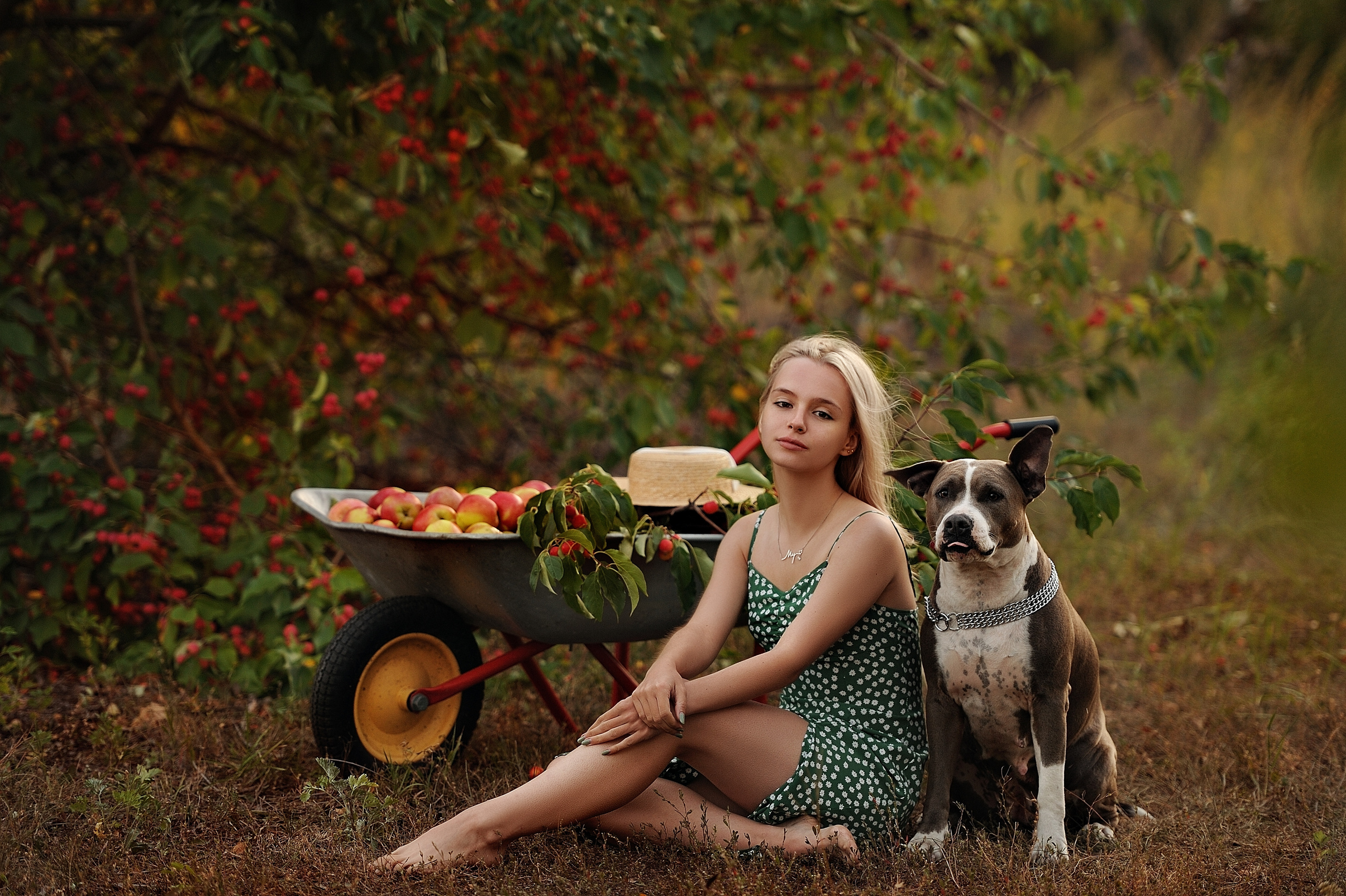 Лерочка. Свадебный и семейный фотограф в Самаре Головань Наталья