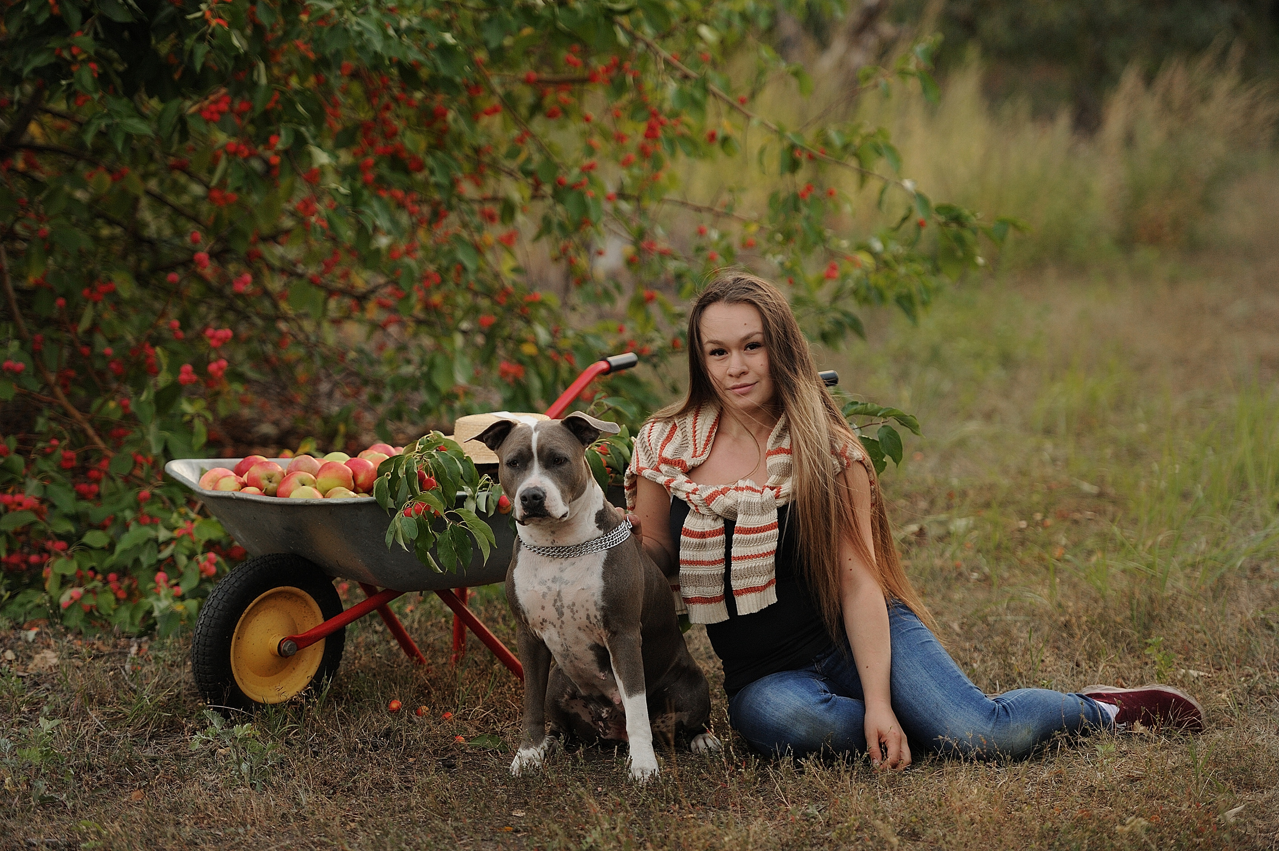 Ронни. Свадебный и семейный фотограф в Самаре Головань Наталья