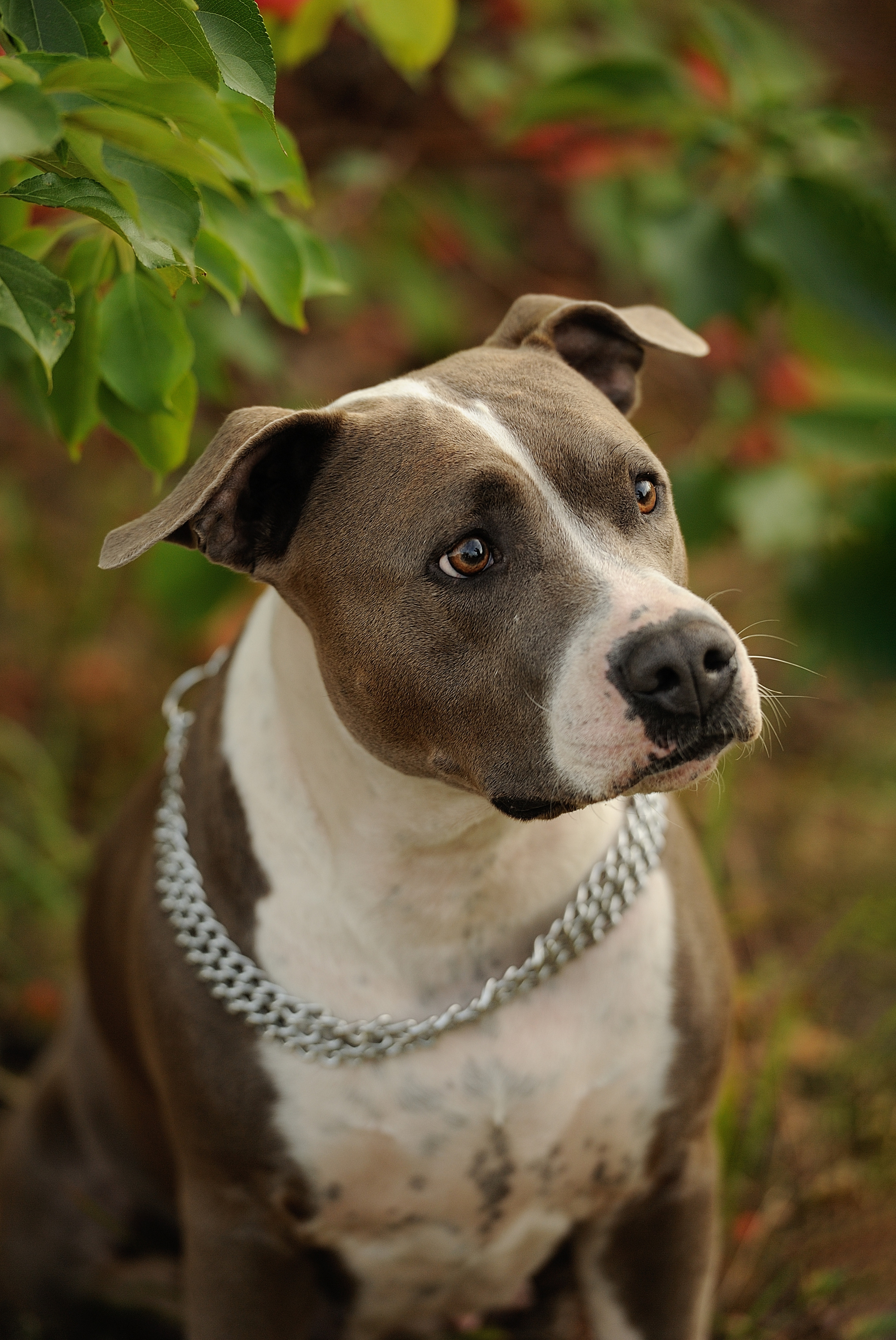 Ронни. Свадебный и семейный фотограф в Самаре Головань Наталья