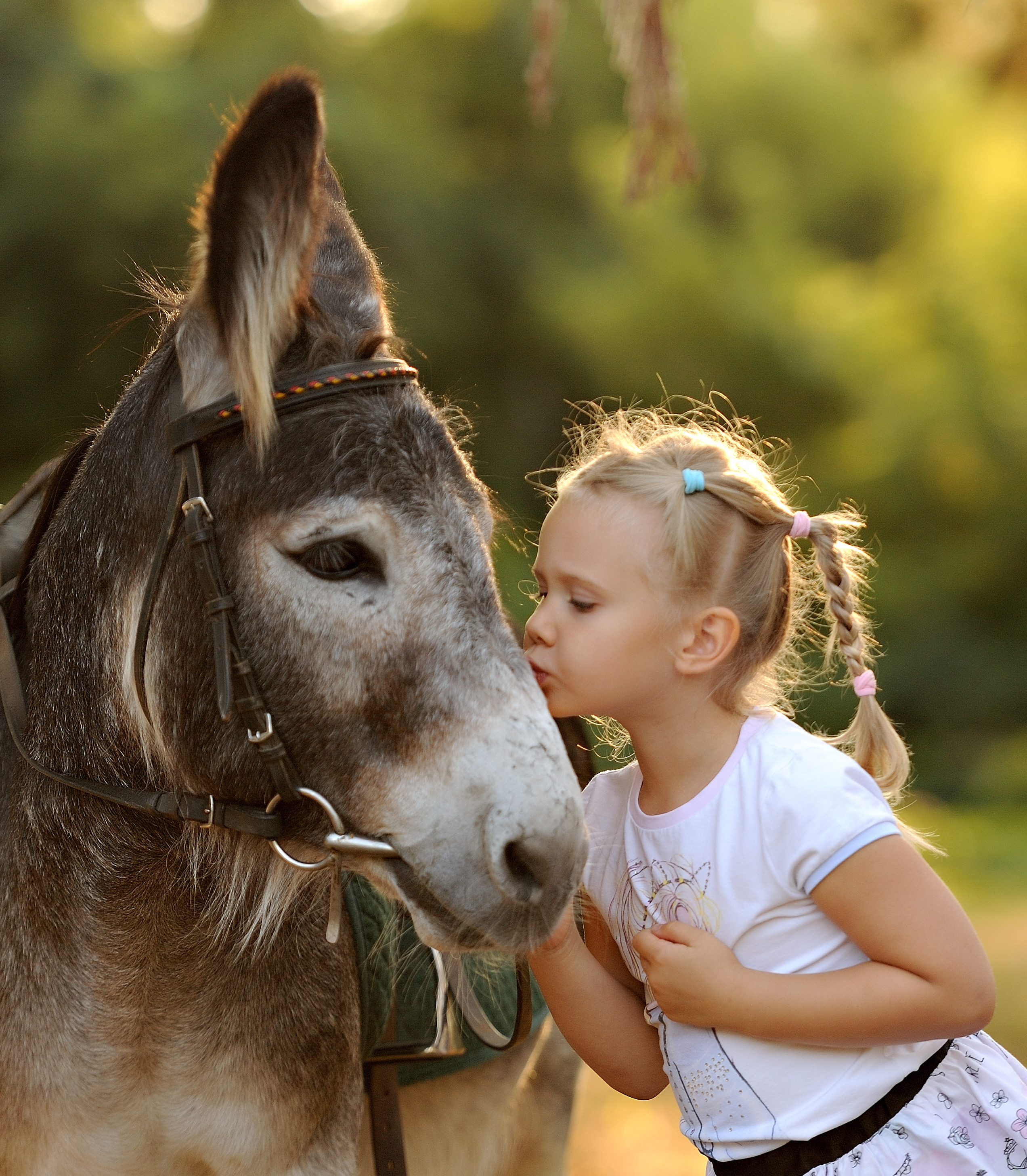 Семейная фотосессия с лошадьми. Свадебный и семейный фотограф в Самаре Головань Наталья
