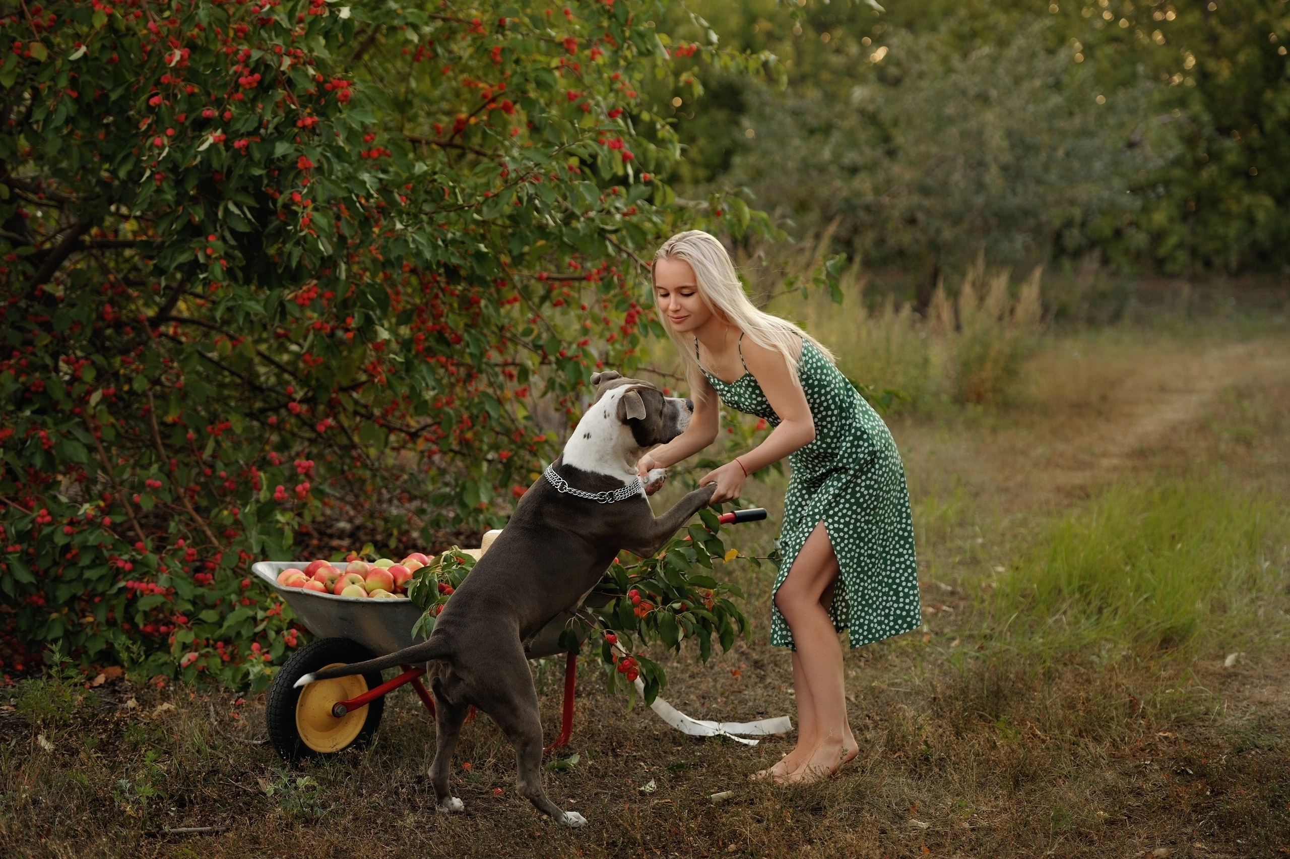 Лерочка. Свадебный и семейный фотограф в Самаре Головань Наталья