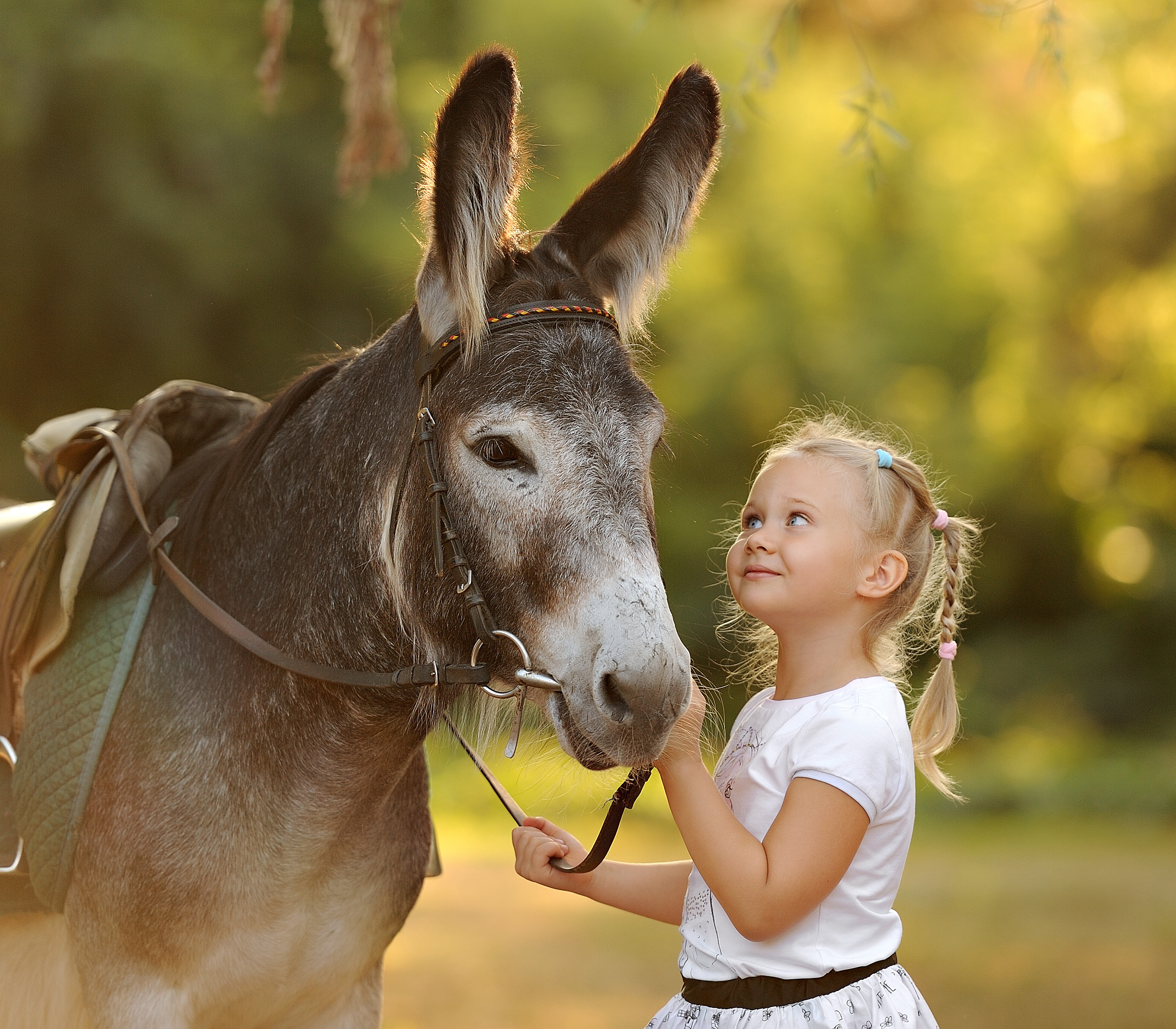 Семейная фотосессия с лошадьми. Свадебный и семейный фотограф в Самаре Головань Наталья