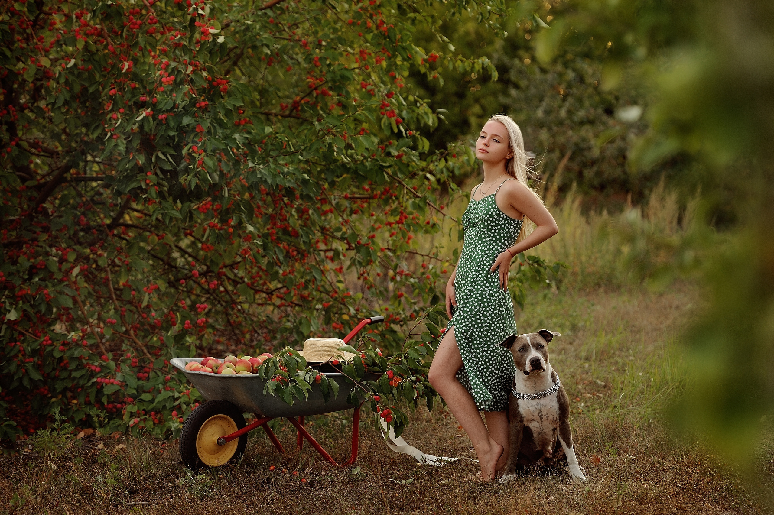 Лерочка. Свадебный и семейный фотограф в Самаре Головань Наталья