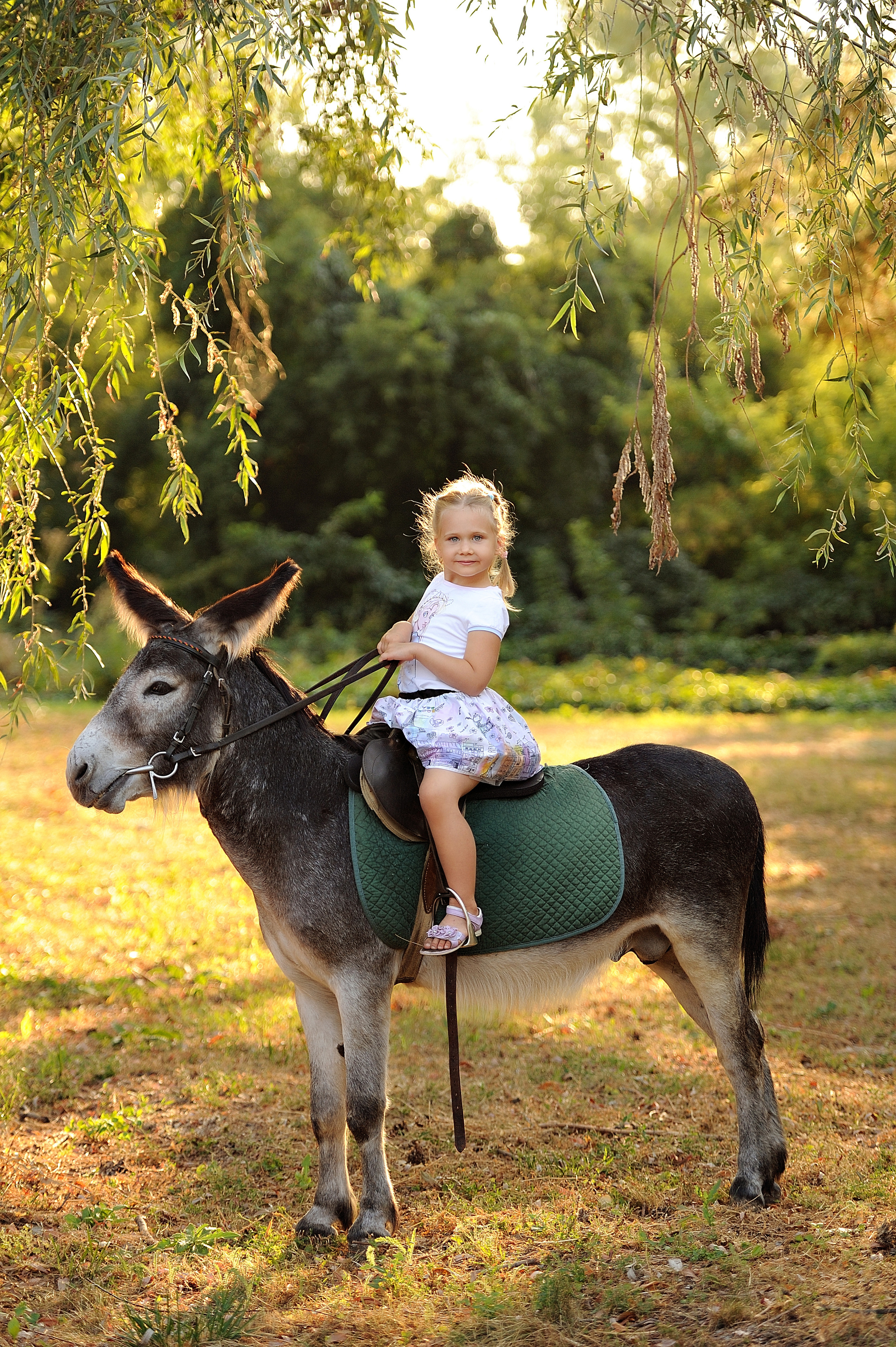 Семейная фотосессия с лошадьми. Свадебный и семейный фотограф в Самаре Головань Наталья