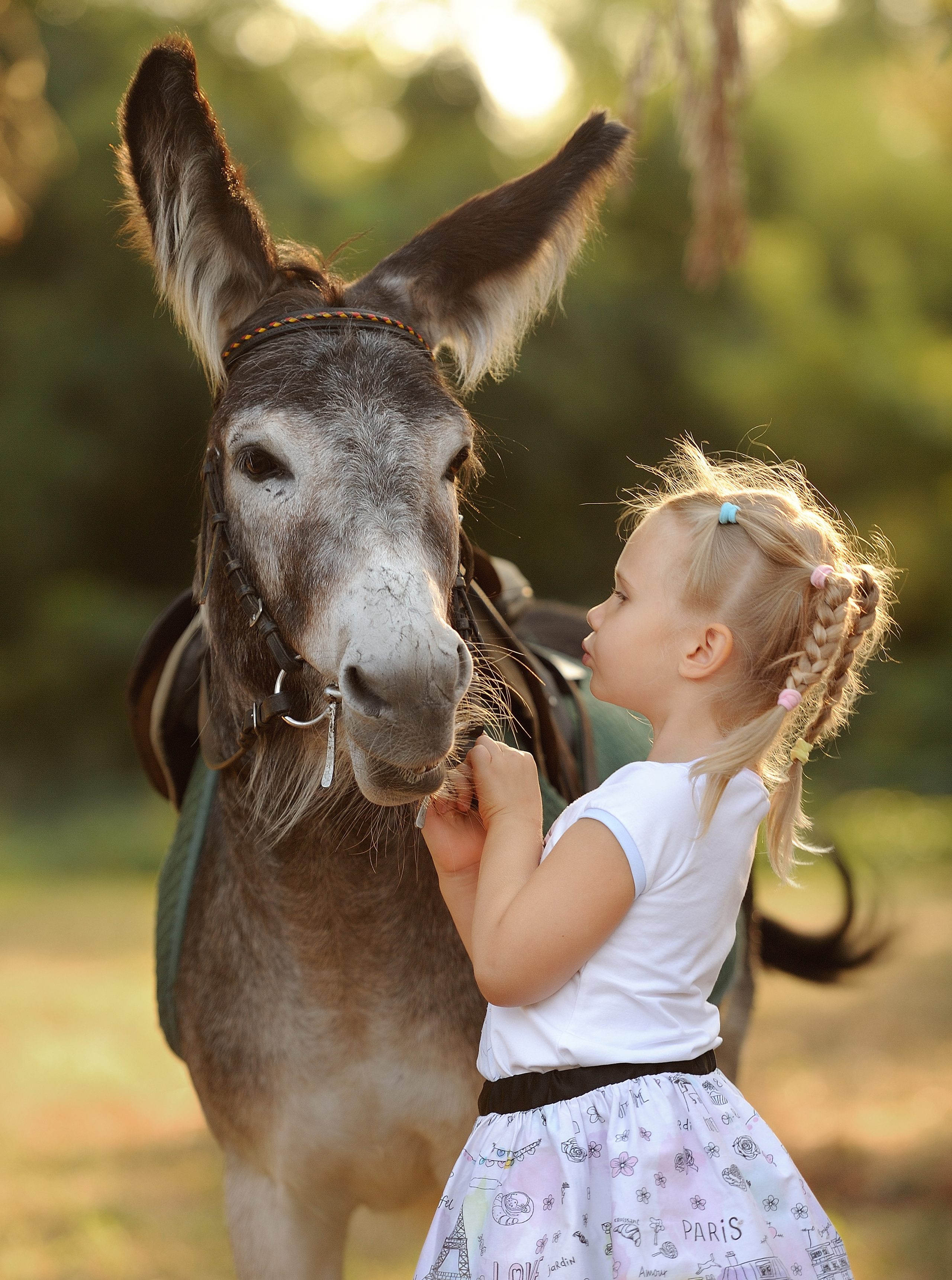 Семейная фотосессия с лошадьми. Свадебный и семейный фотограф в Самаре Головань Наталья
