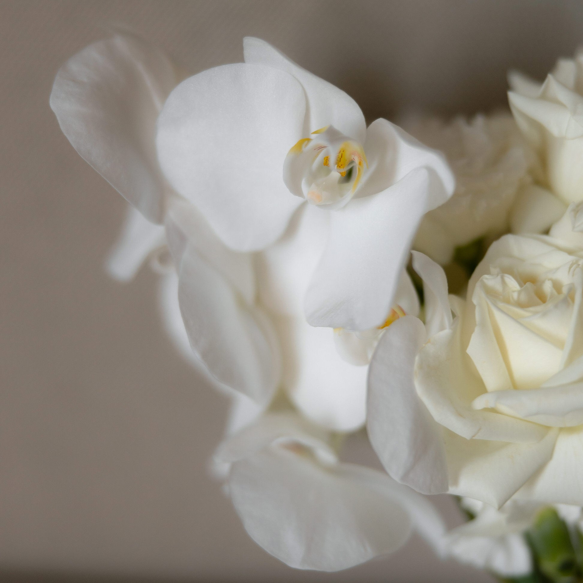 Яна & Дмитрий. Yura Rush Свадебный фотограф Тюмень