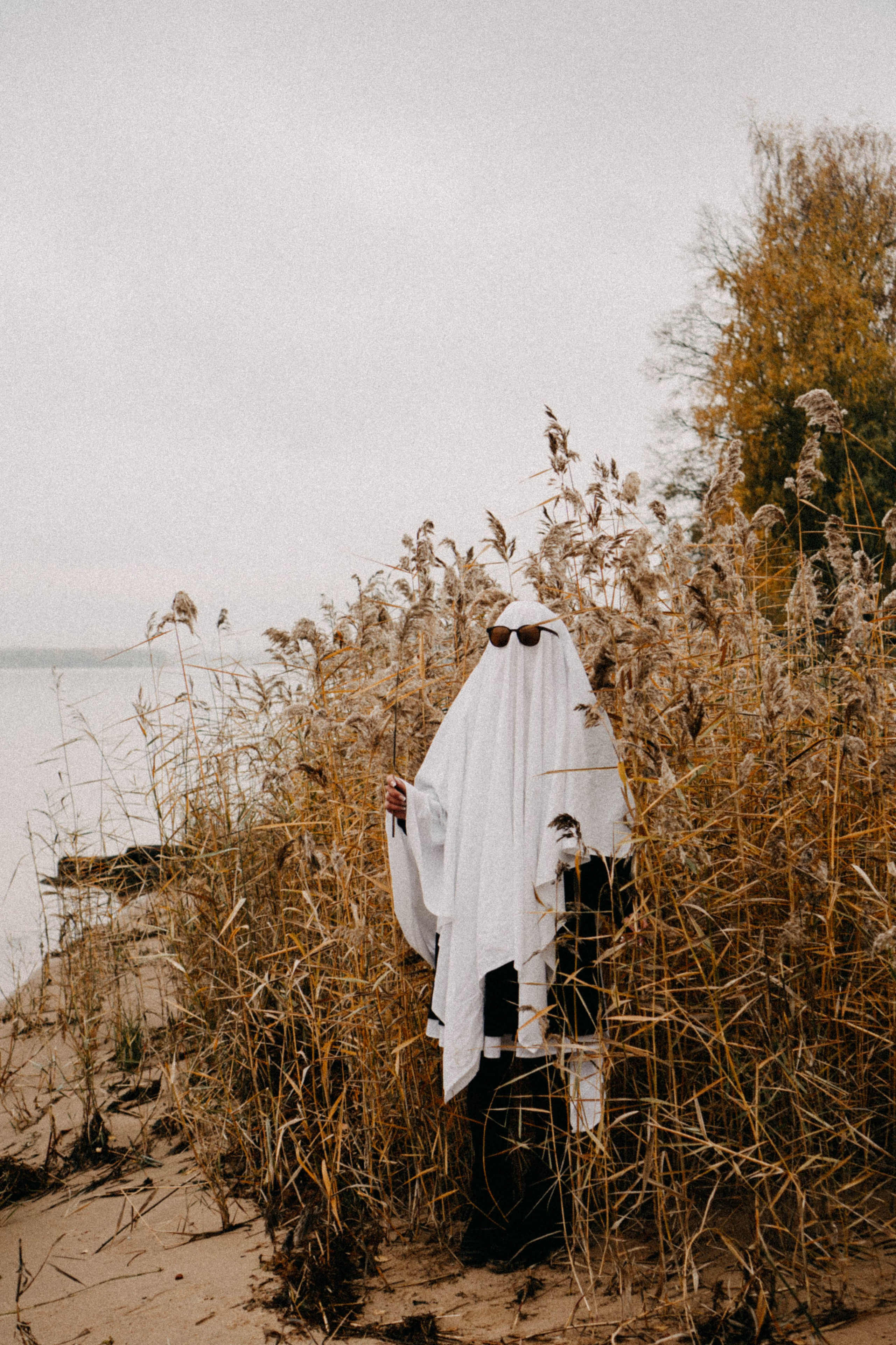 Осеняя. Профессиональный фотограф, Санкт-Петербург — Виктория Богомолова